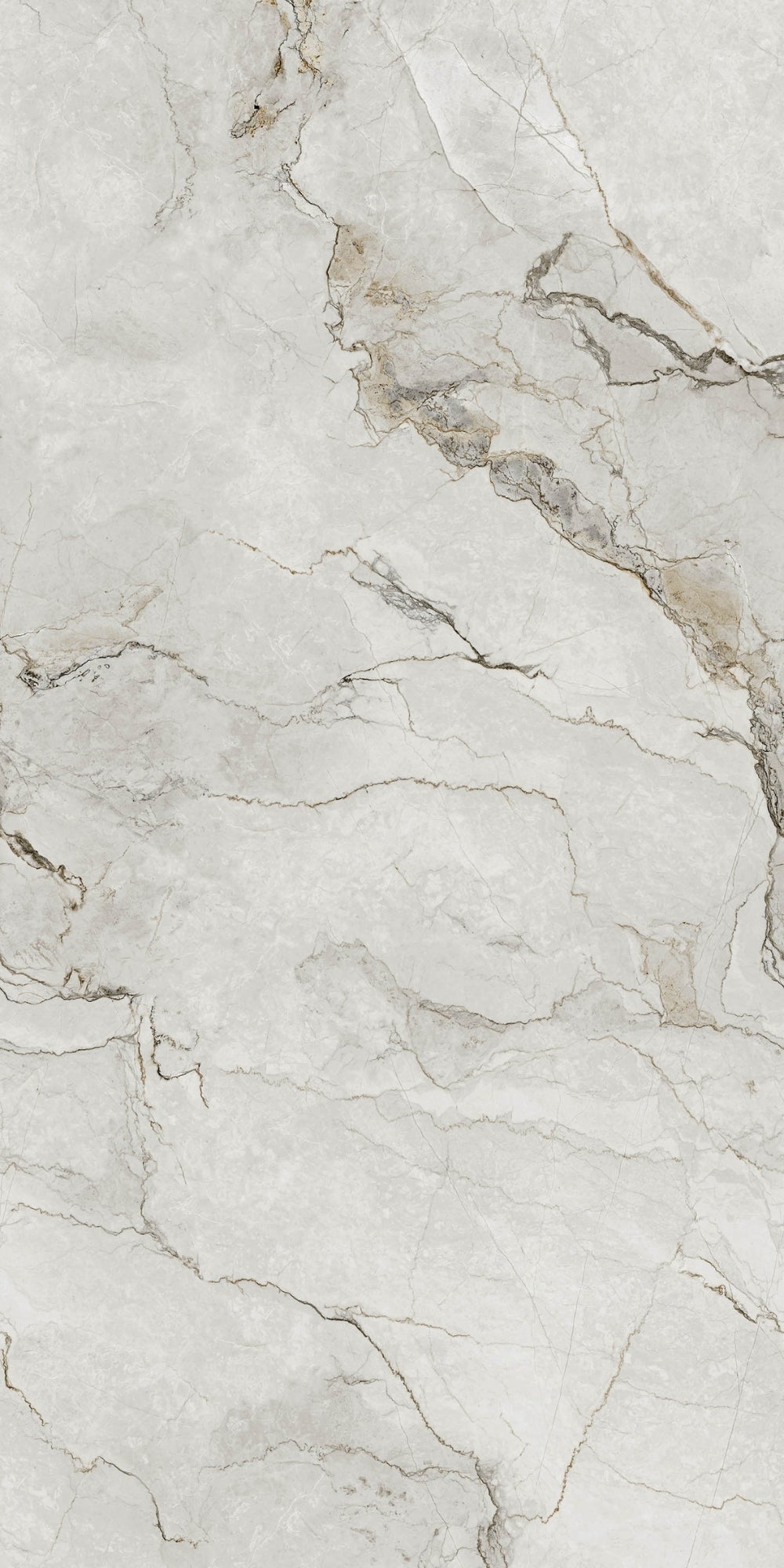 Adel White | Tegel 60x120 cm | Hoogglans Wit Marmerlook