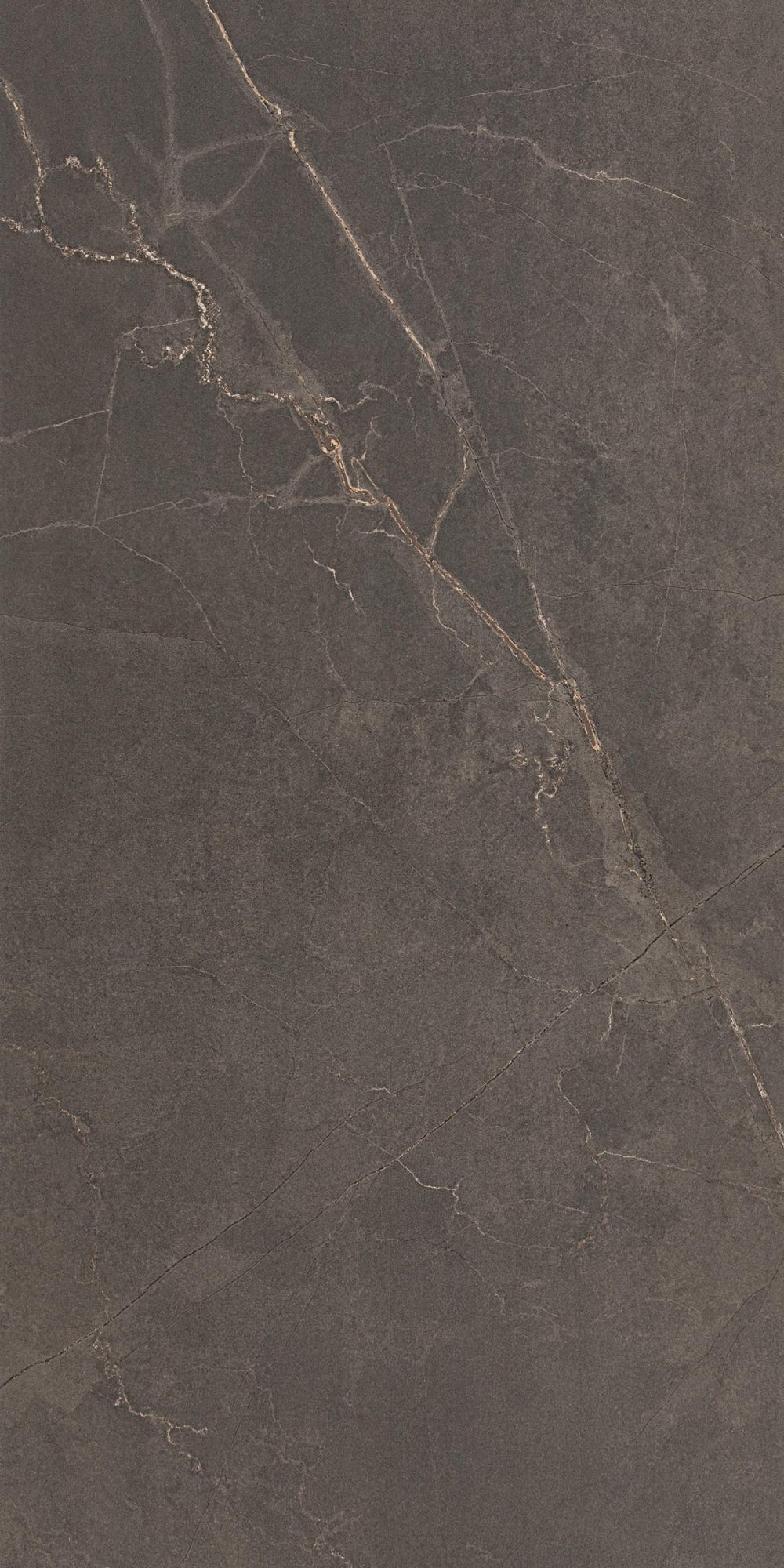 Adria Mocha | Tegel 60x120 cm | Mat Bruin Steenlook