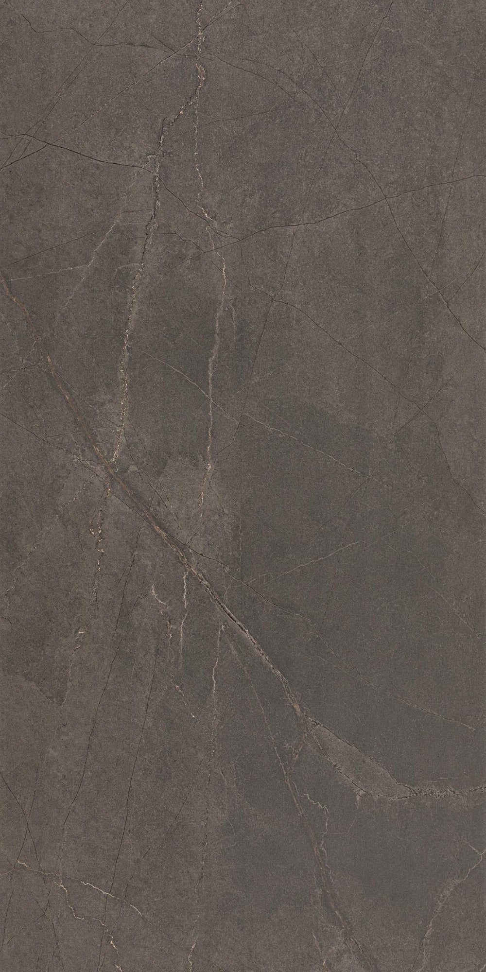 Adria Mocha | Tegel 60x120 cm | Mat Bruin Steenlook