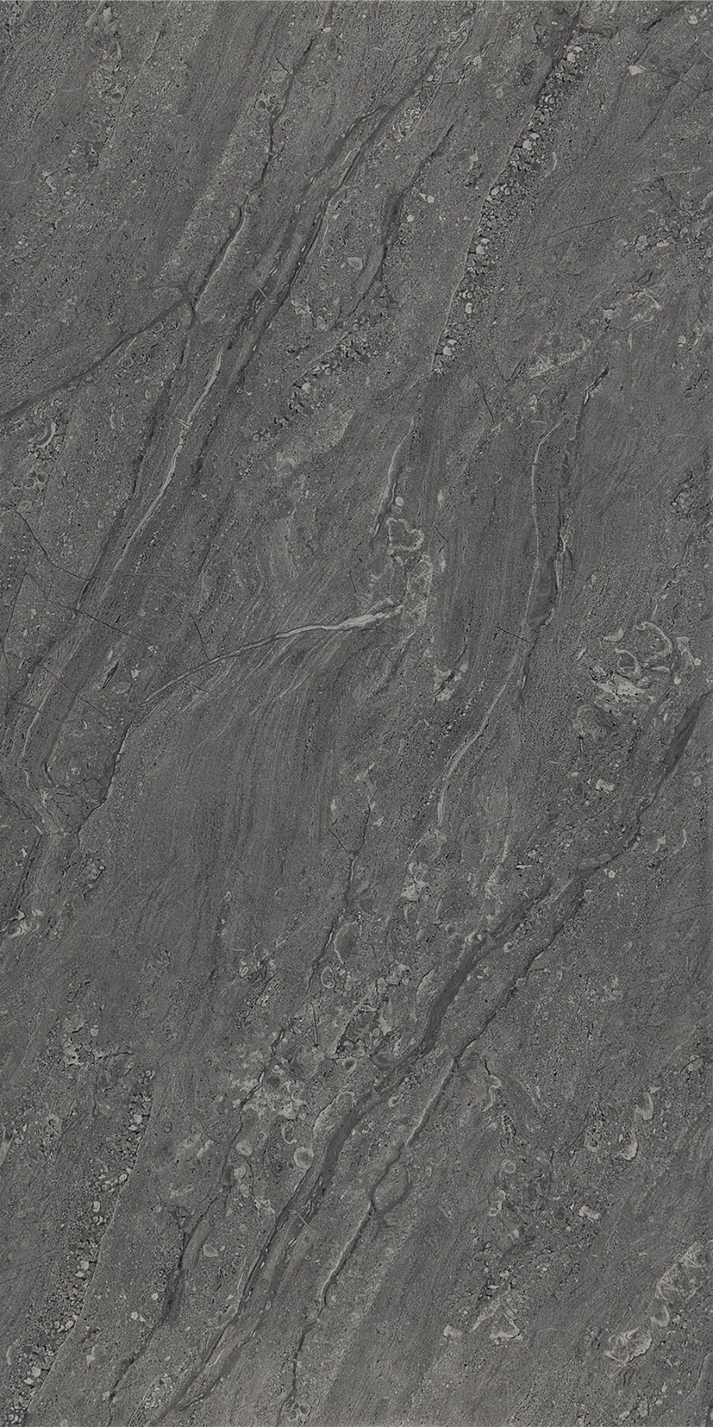 Arma Anthracite | Tegel 60x120 cm | Hoogglans Antraciet Marmerlook