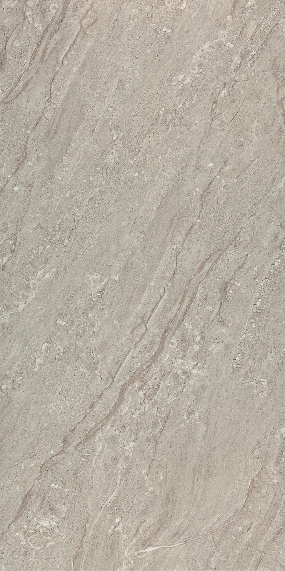 Arma Grey | Tegel 60x120 cm | Hoogglans Grijs Marmerlook