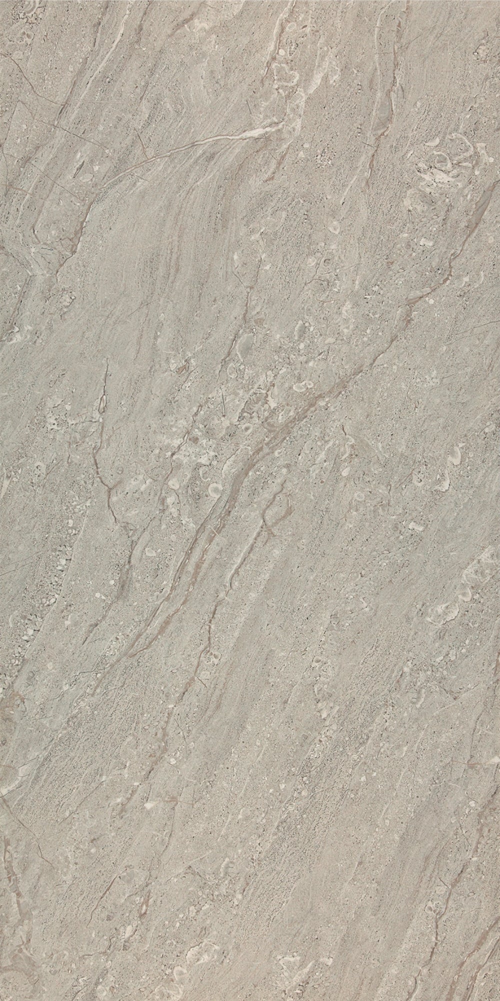 Arma Grey | Tegel 60x120 cm | Hoogglans Grijs Marmerlook