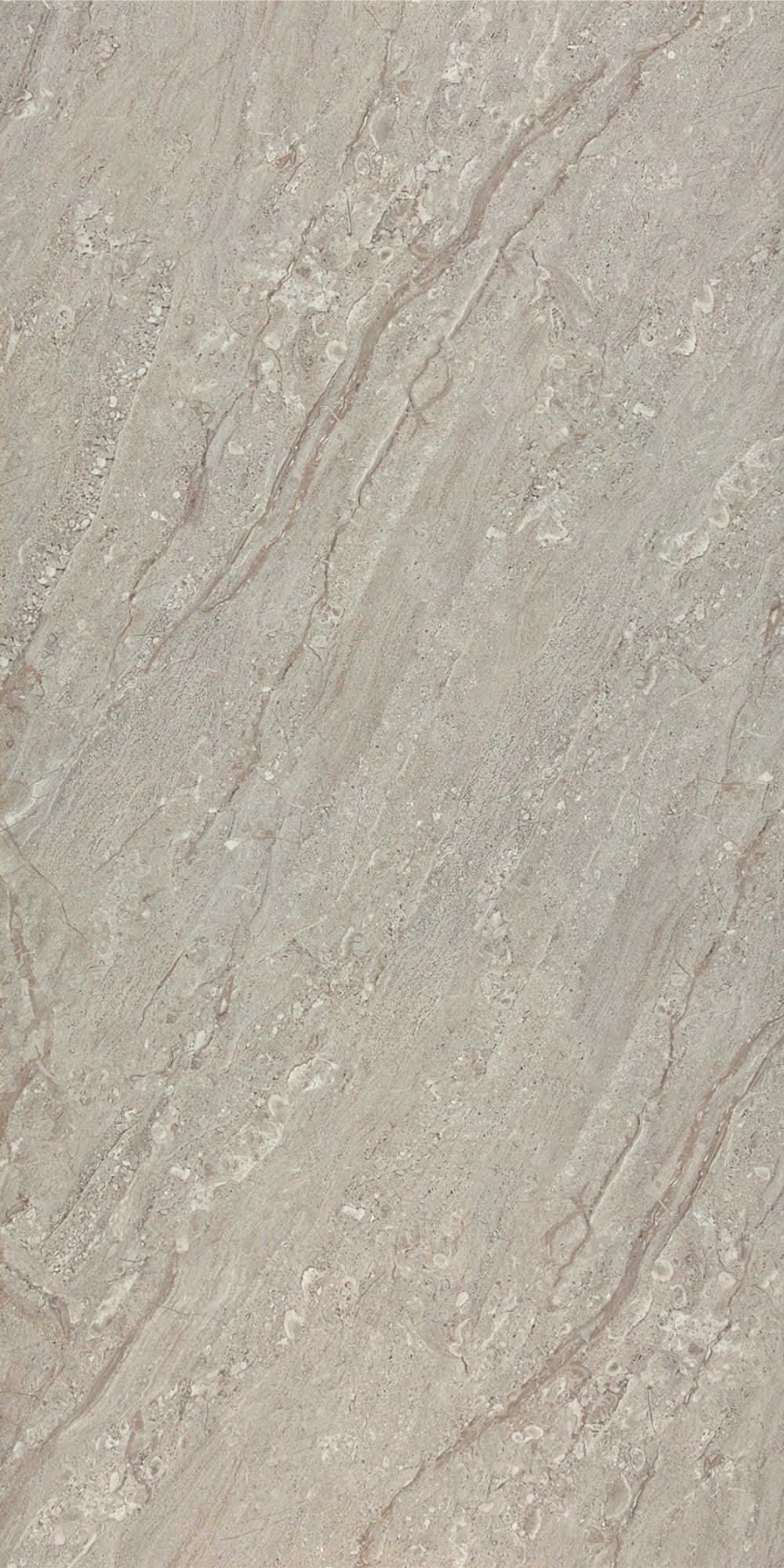 Arma Grey | Tegel 60x120 cm | Hoogglans Grijs Marmerlook