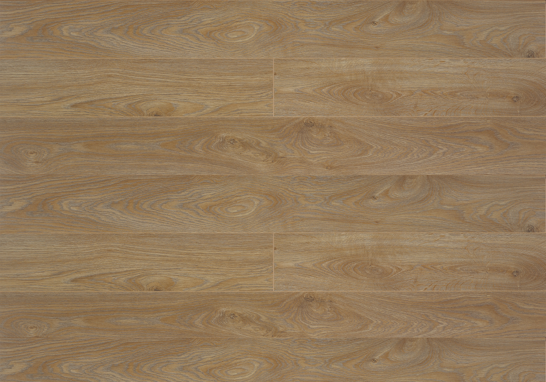 Asi Oak | Laminaat 10 mm | Çamsan Avangard