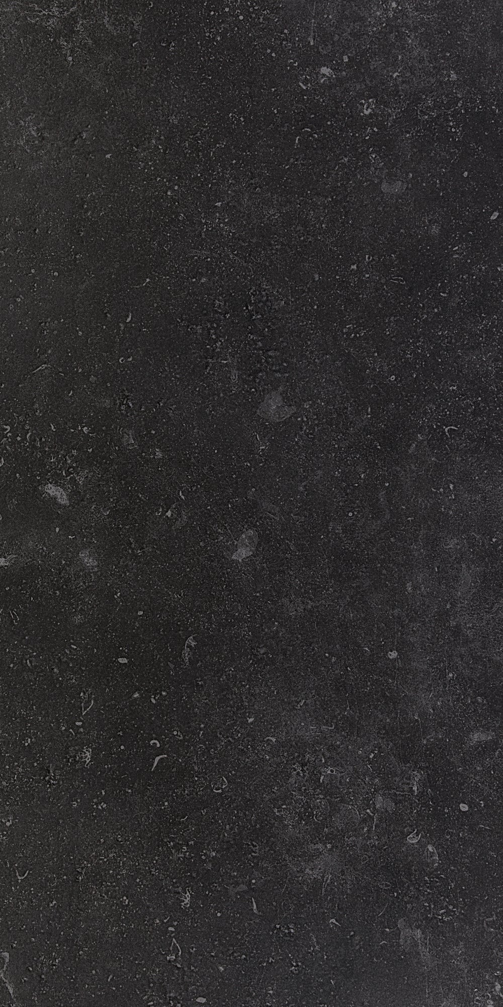 Belgium Stone | Tegel 60x120 cm | Mat Zwart Steenlook