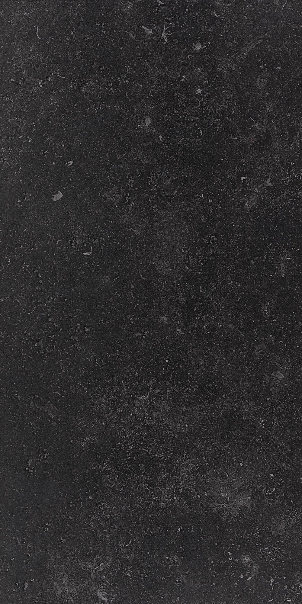 Belgium Stone | Tegel 60x120 cm | Mat Zwart Steenlook