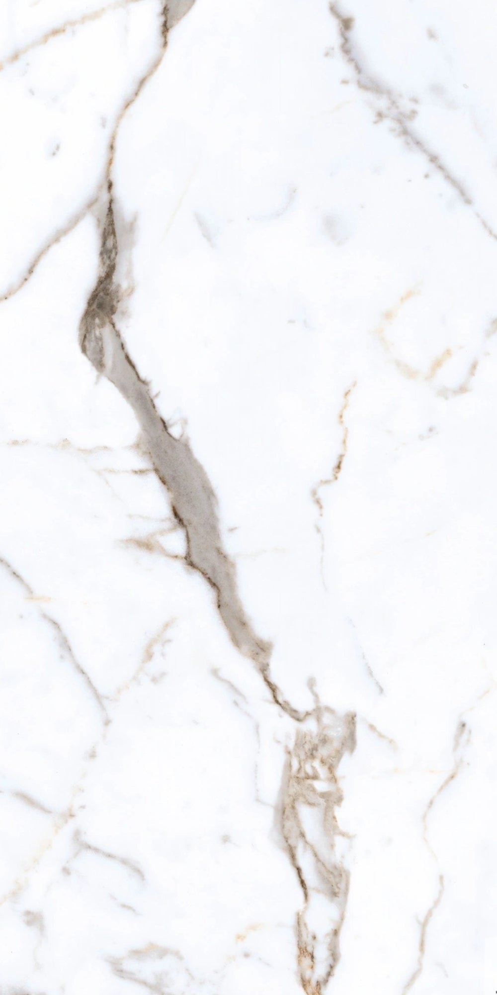 Bella | Tegel 60x120 cm | Hoogglans Wit Marmerlook