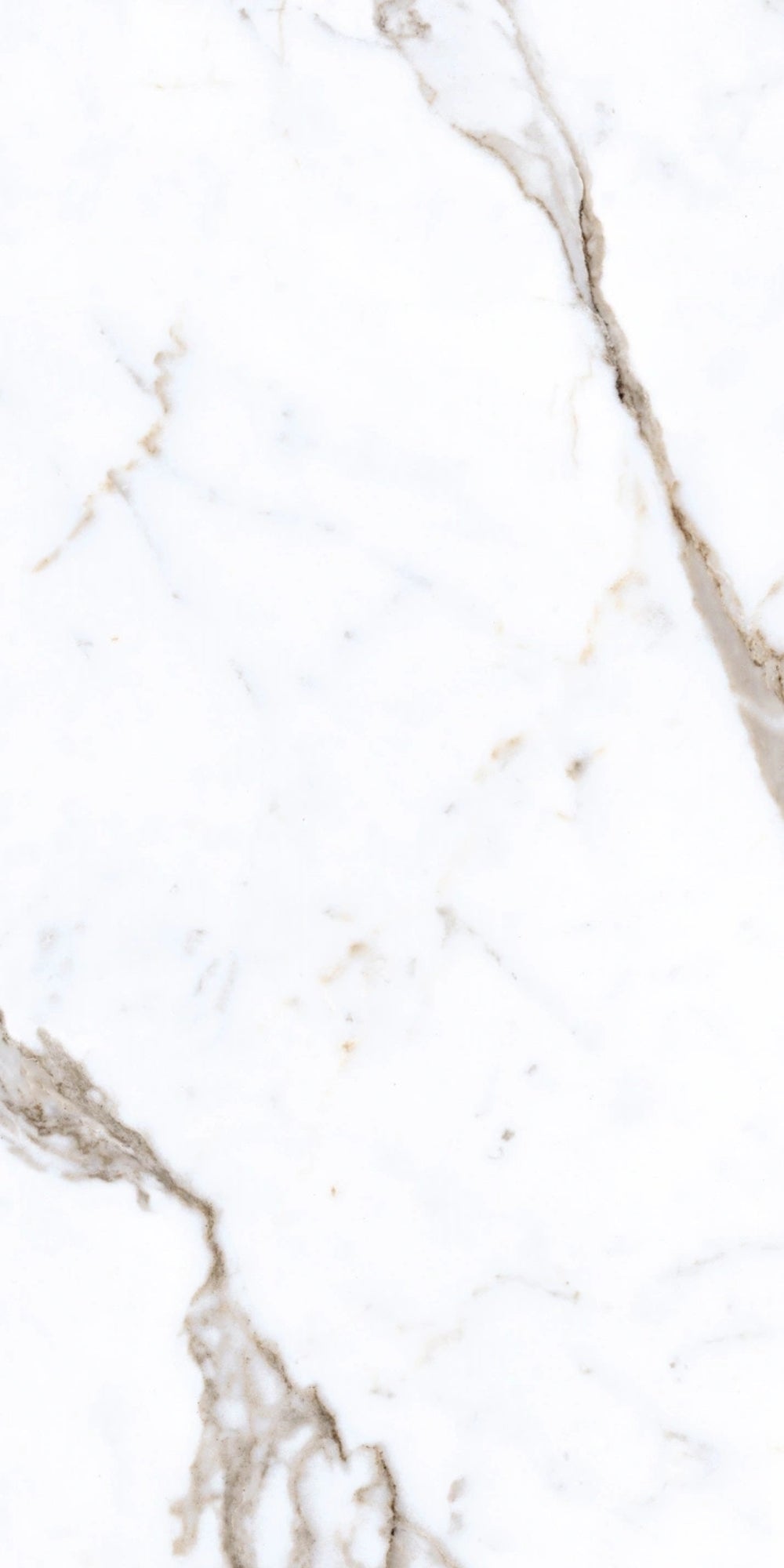 Bella | Tegel 60x120 cm | Hoogglans Wit Marmerlook