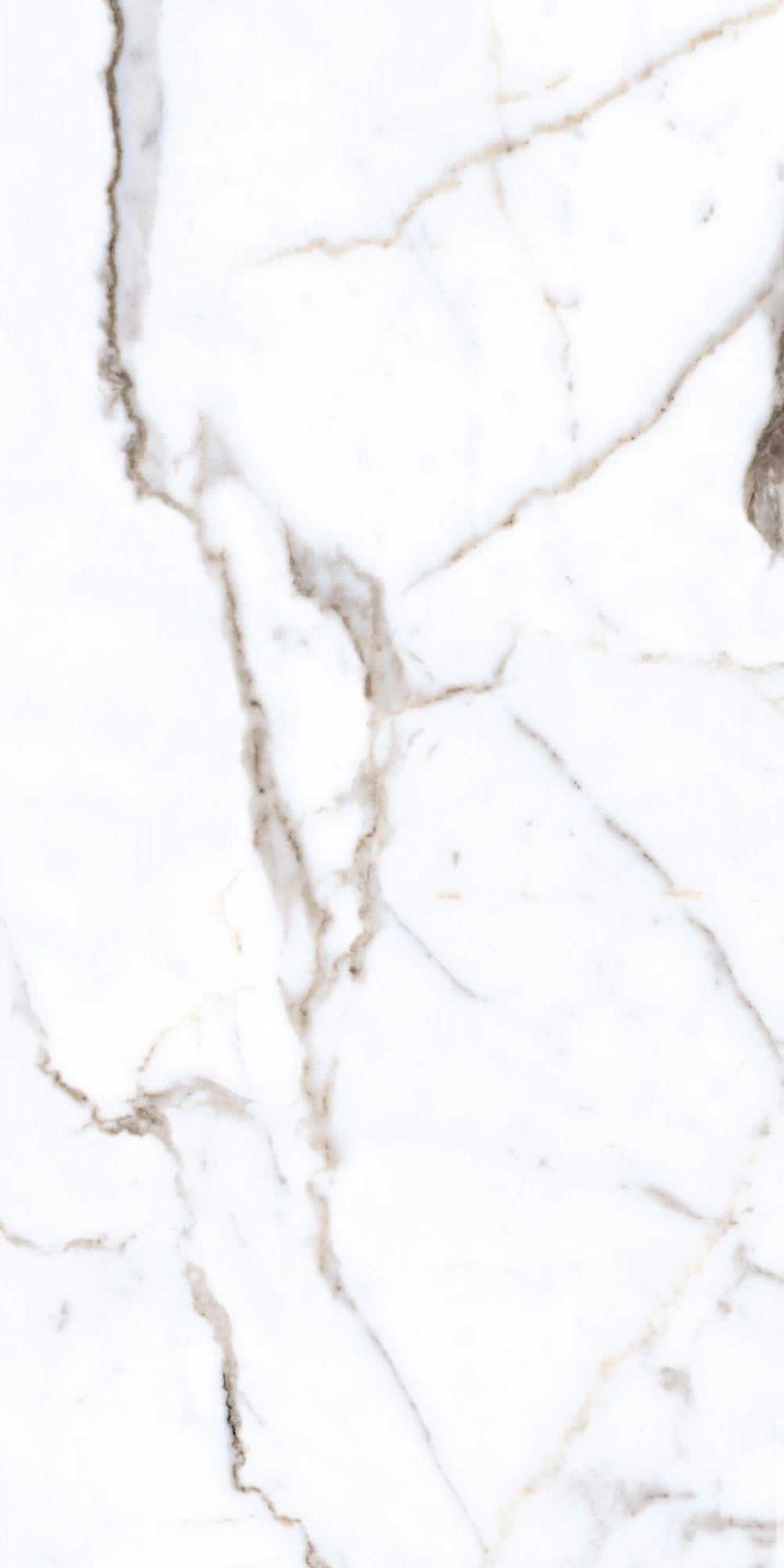 Bella | Tegel 60x120 cm | Hoogglans Wit Marmerlook