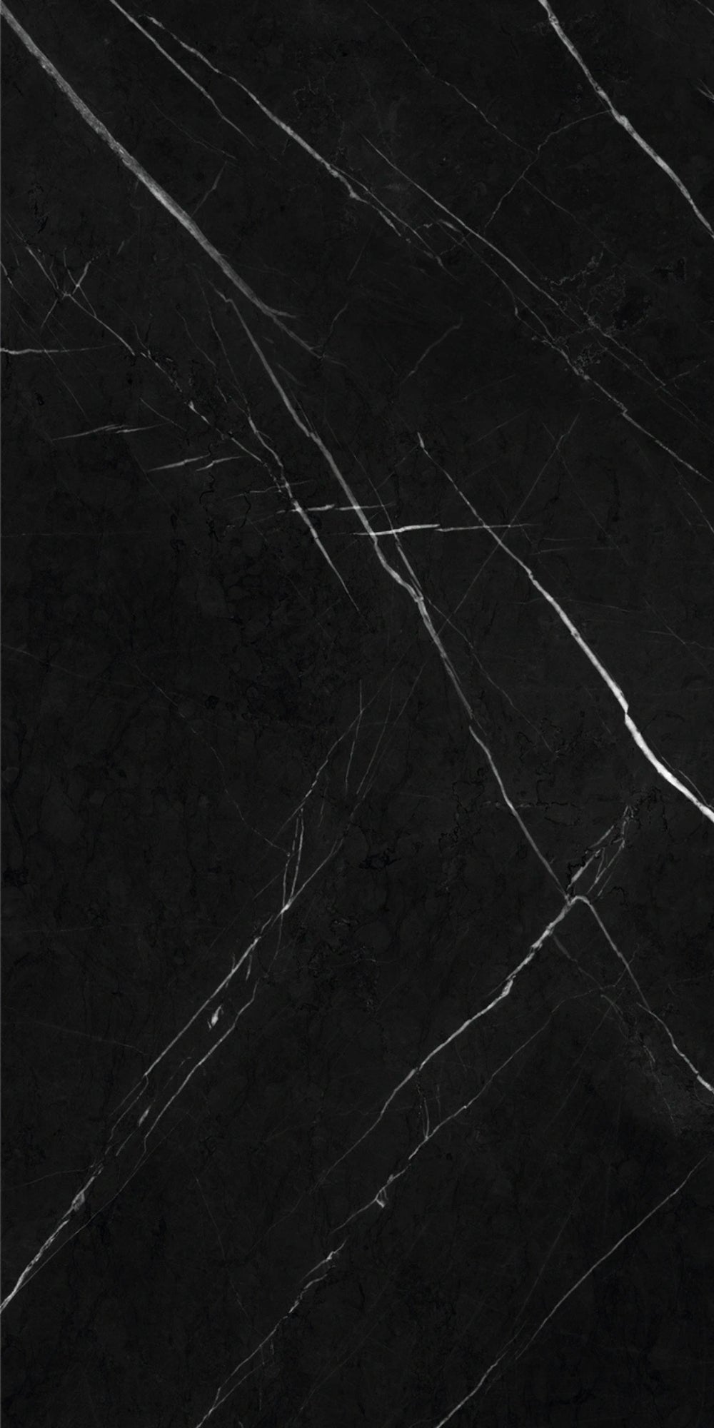Black Marble | Tegel 60x120 cm | Hoogglans Zwart Marmerlook