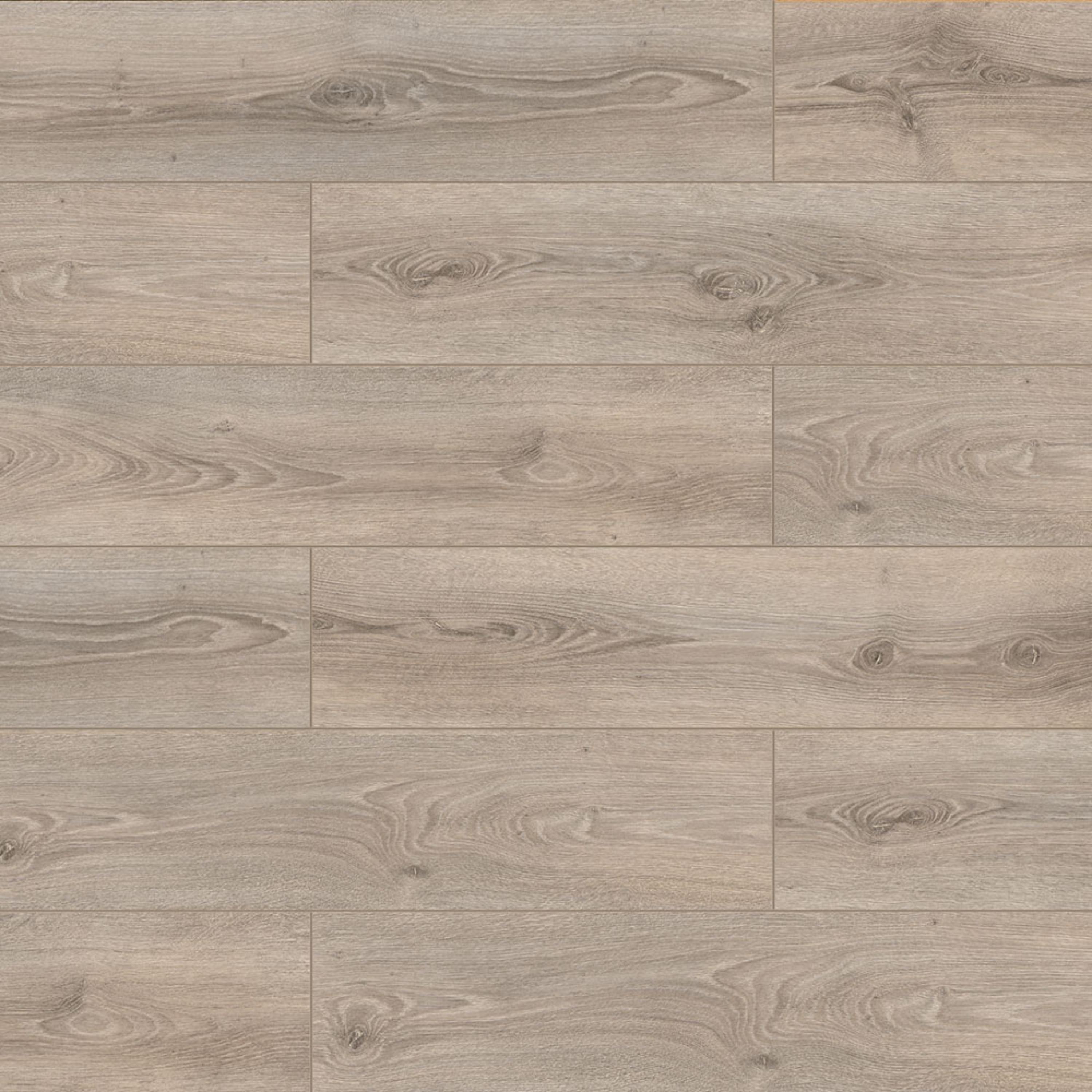 Erasmus | Laminaat 8 mm | Floorpan Prime