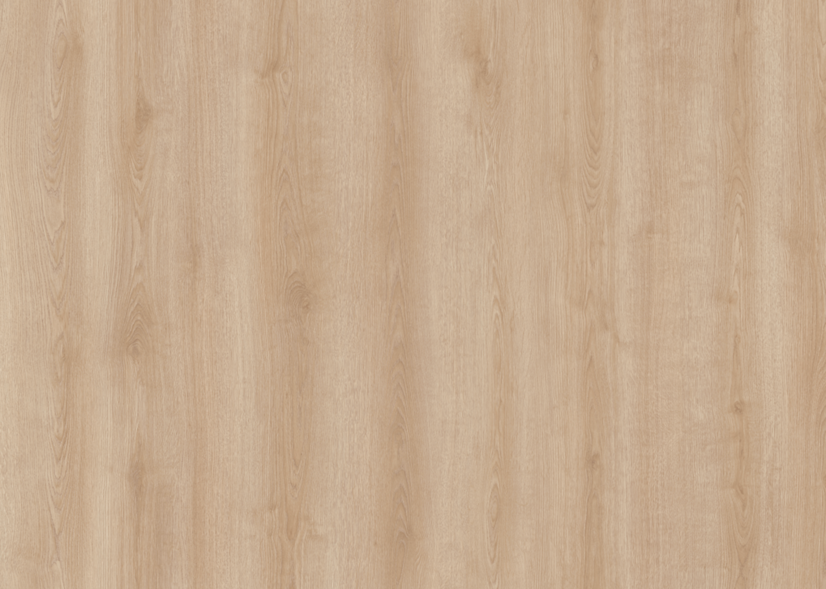 Belgrad Oak | Laminaat 10 mm | Çamsan Platinum