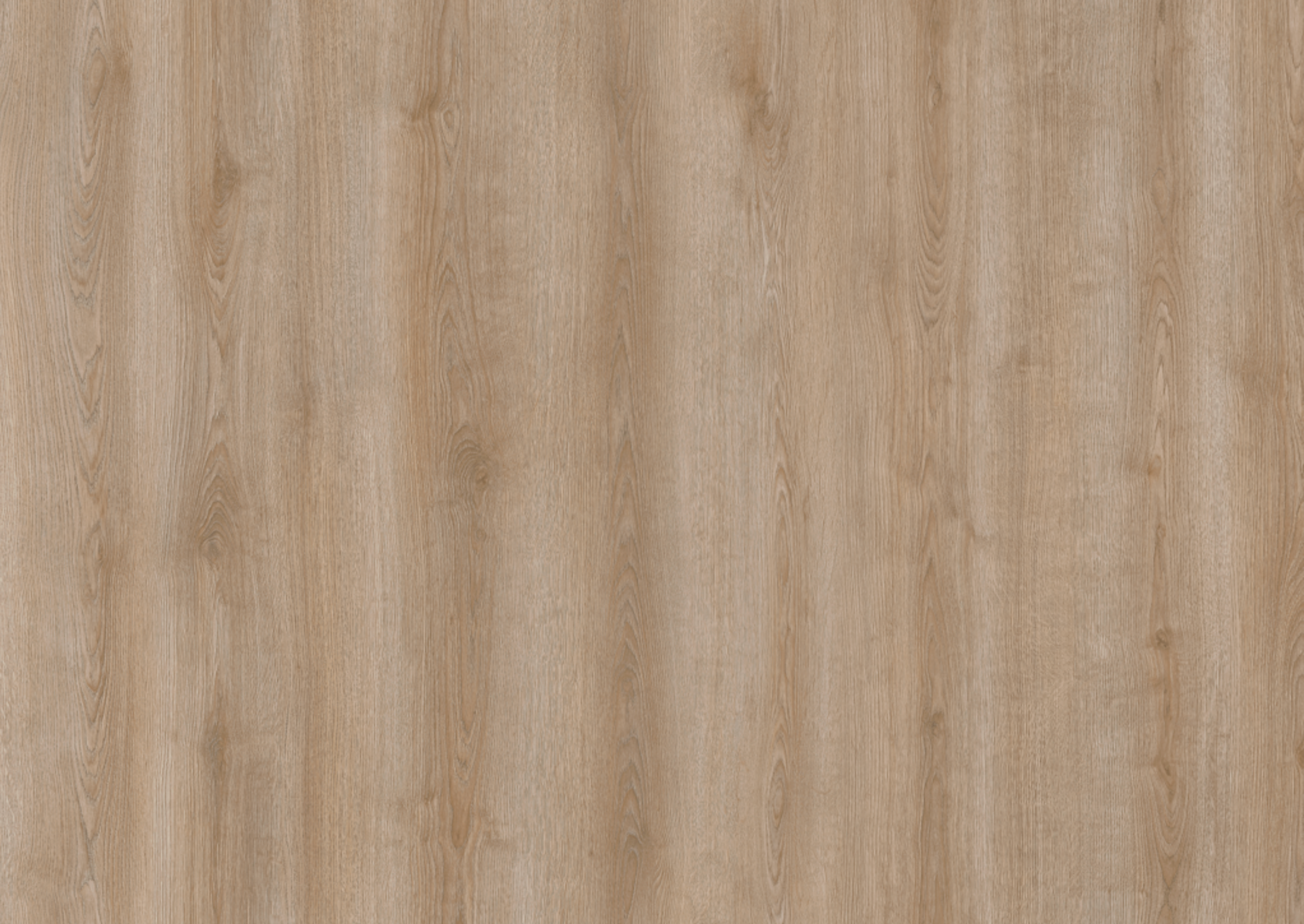 Barok Oak | Laminaat 10 mm | Çamsan Platinum