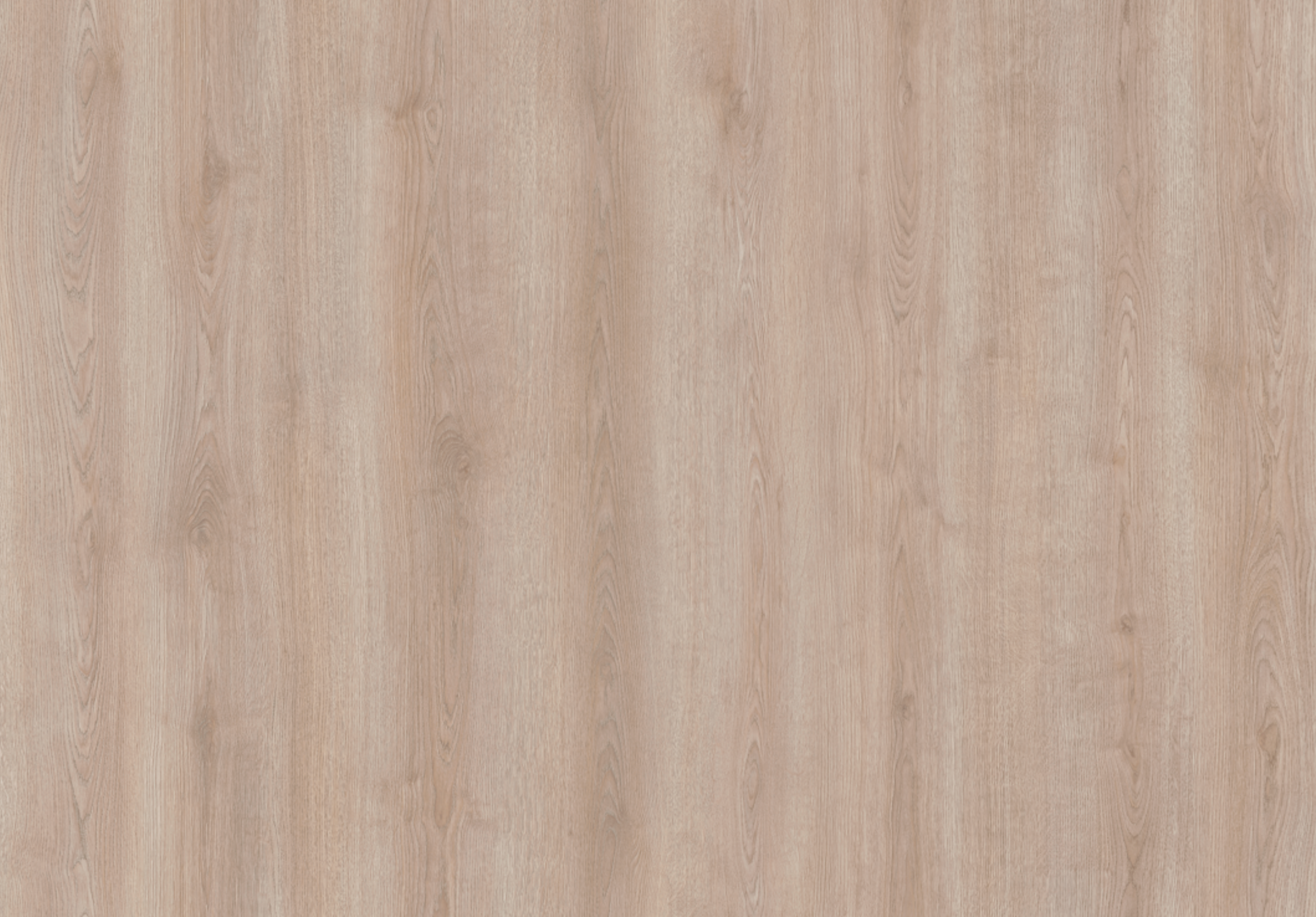 Soft Oak | Laminaat 10 mm | Çamsan Platinum