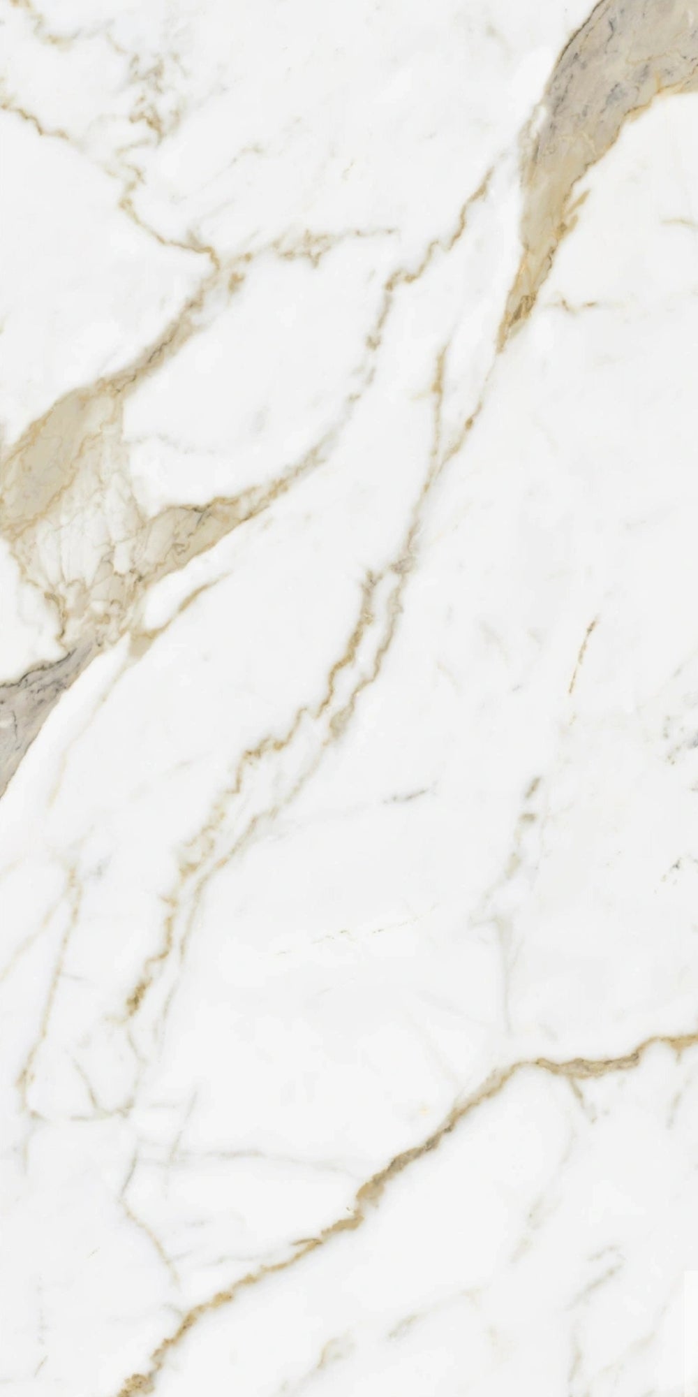 Gold Calacatta | Tegel 60x120 cm | Hoogglans Goud Marmerlook