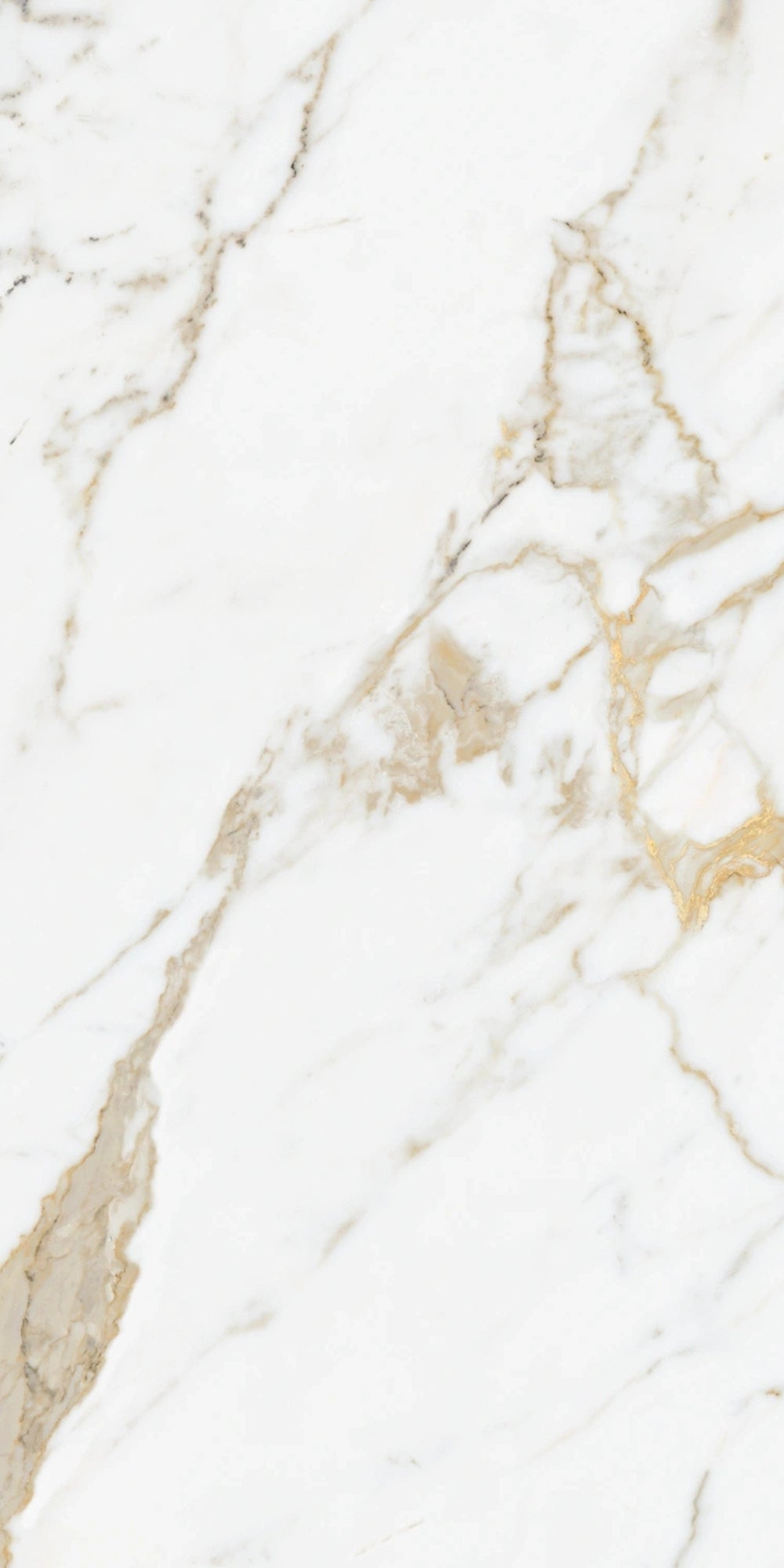 Gold Calacatta | Tegel 60x120 cm | Hoogglans Goud Marmerlook