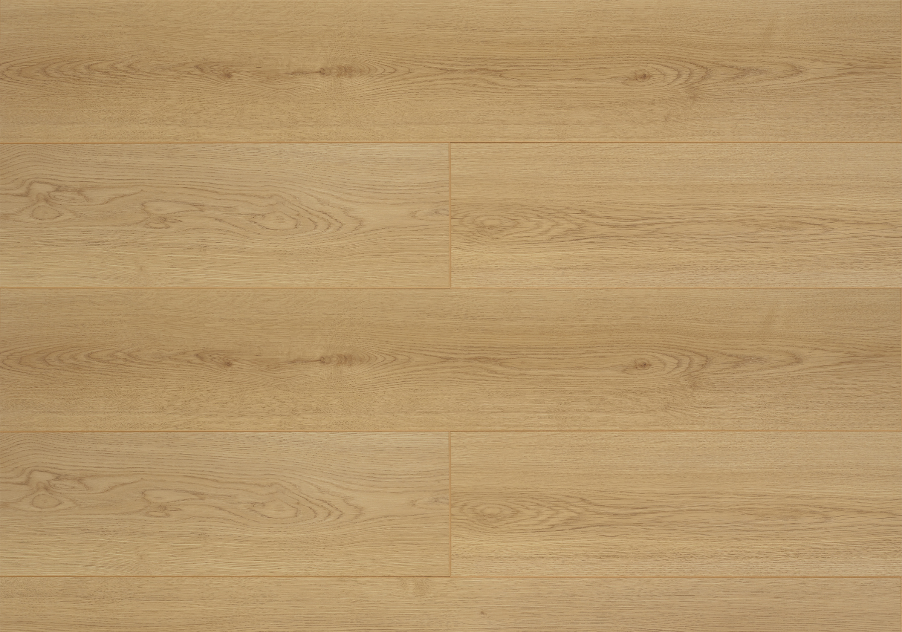 Caucasian Oak | Laminaat 8 mm | Çamsan Modern