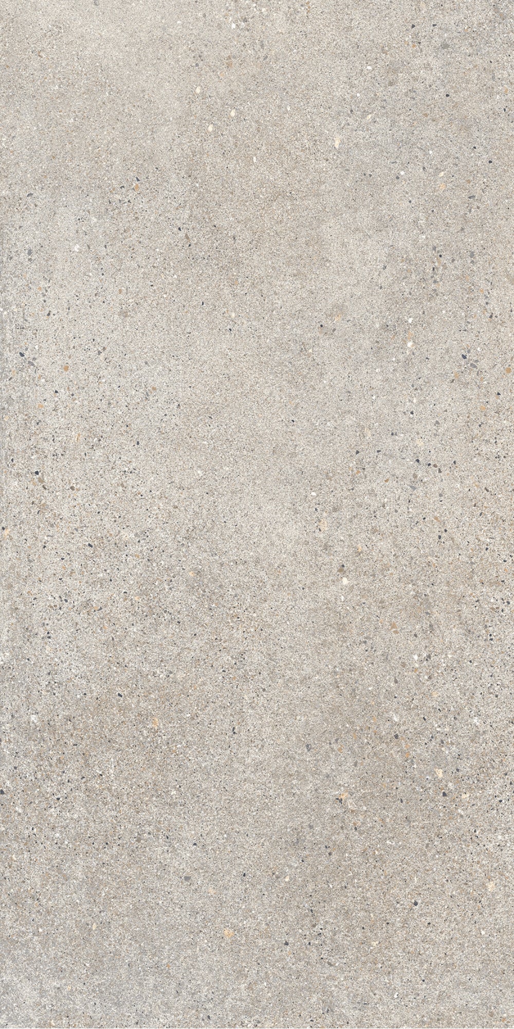 Octavia Bone | Tegel 60x120 cm | Mat Beige Betonlook