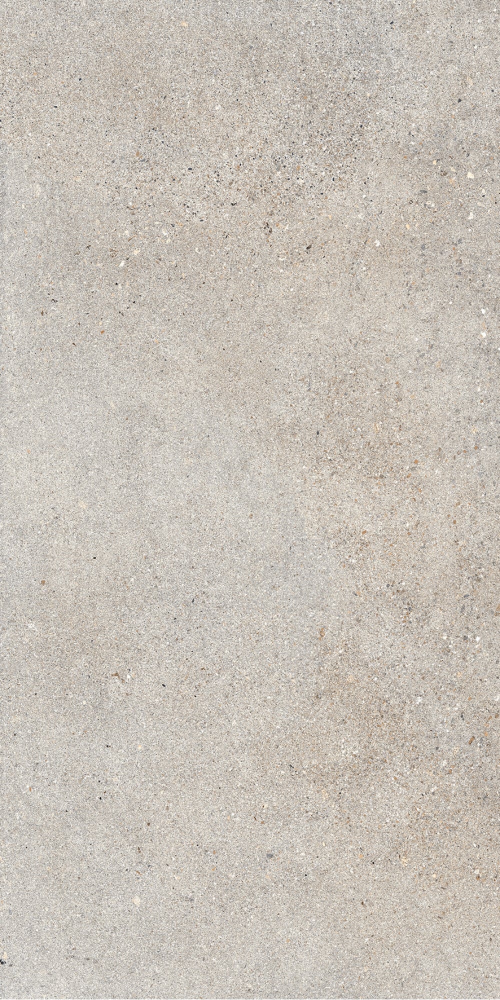 Octavia Bone | Tegel 60x120 cm | Mat Beige Betonlook