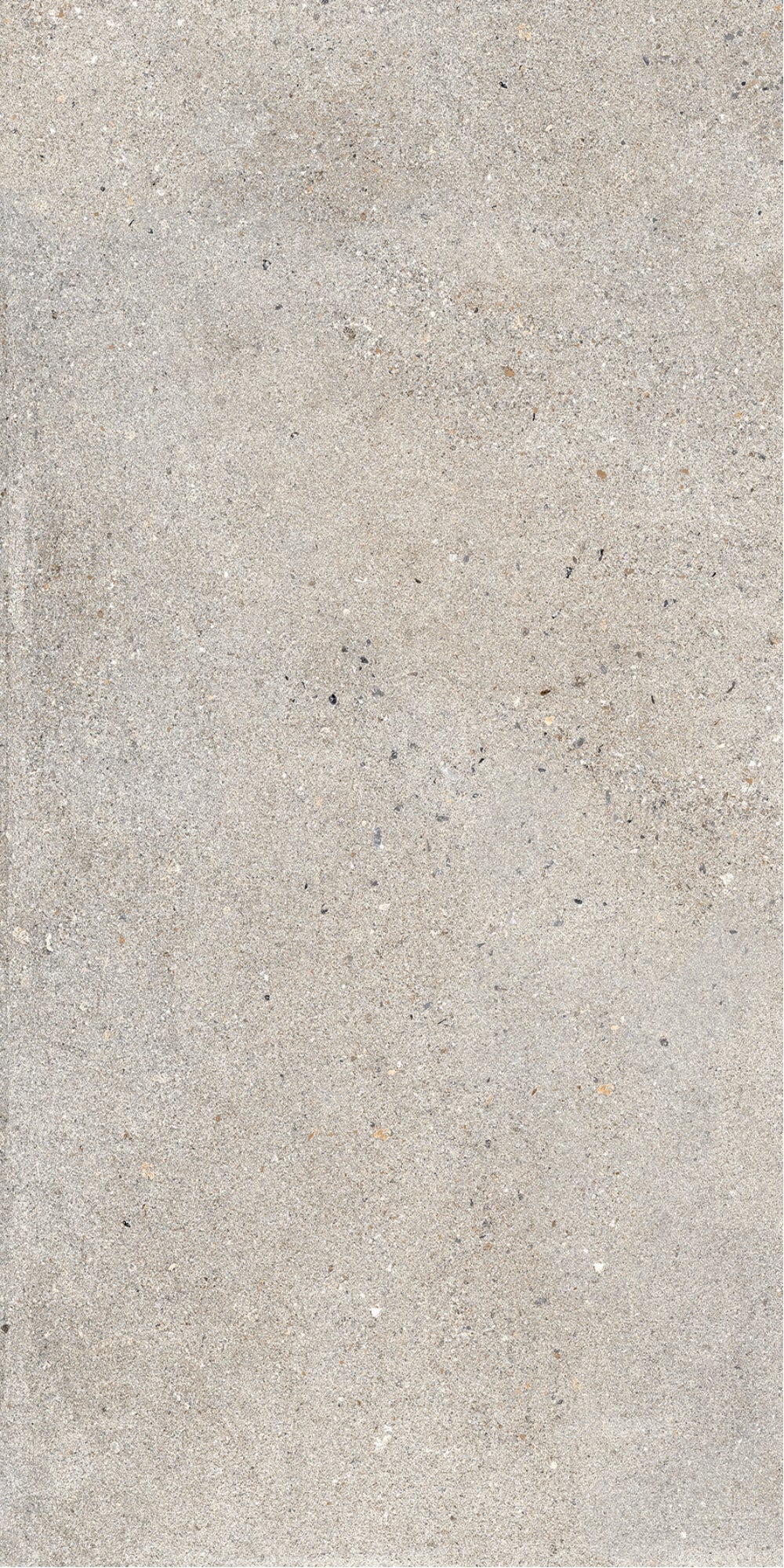 Octavia Bone | Tegel 60x120 cm | Mat Beige Betonlook