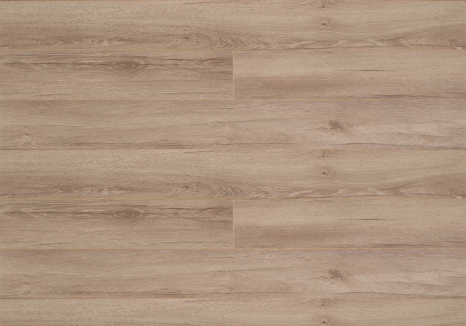 Authentic Oak | Laminaat 10 mm | Çamsan Avangard