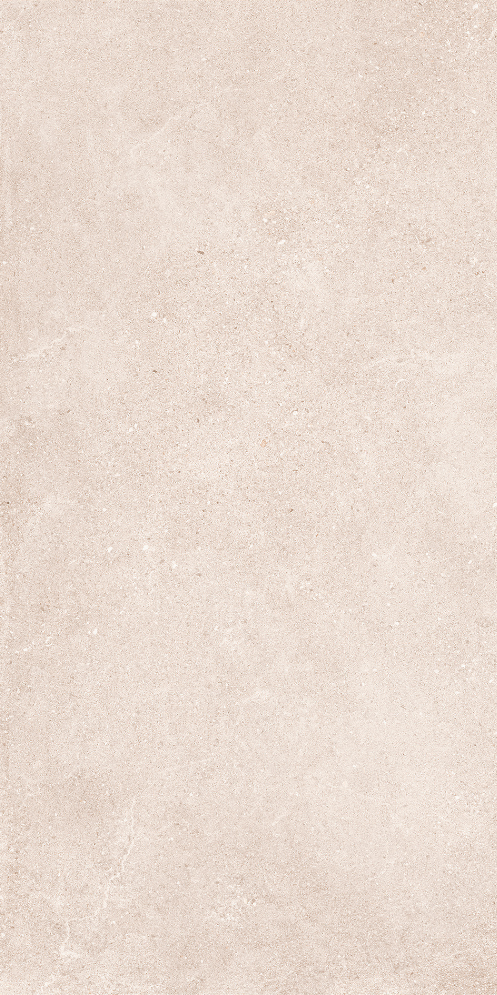 Padova Bone | Tegel 60x120 cm | Mat Beige Betonlook