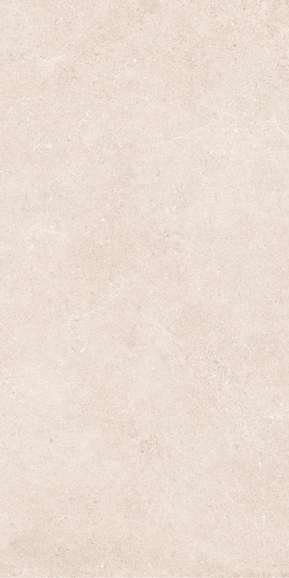 Padova Bone | Tegel 60x120 cm | Mat Beige Betonlook