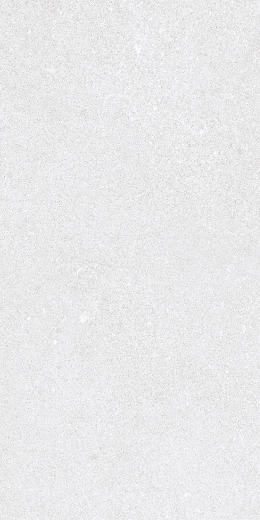 Padova White | Tegel 60x120 cm | Mat Wit Betonlook