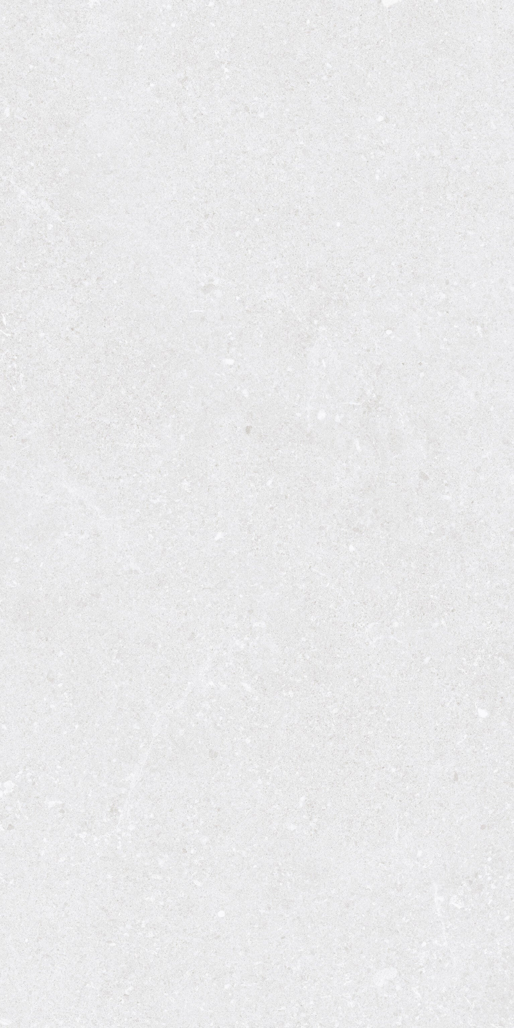 Padova White | Tegel 60x120 cm | Mat Wit Betonlook