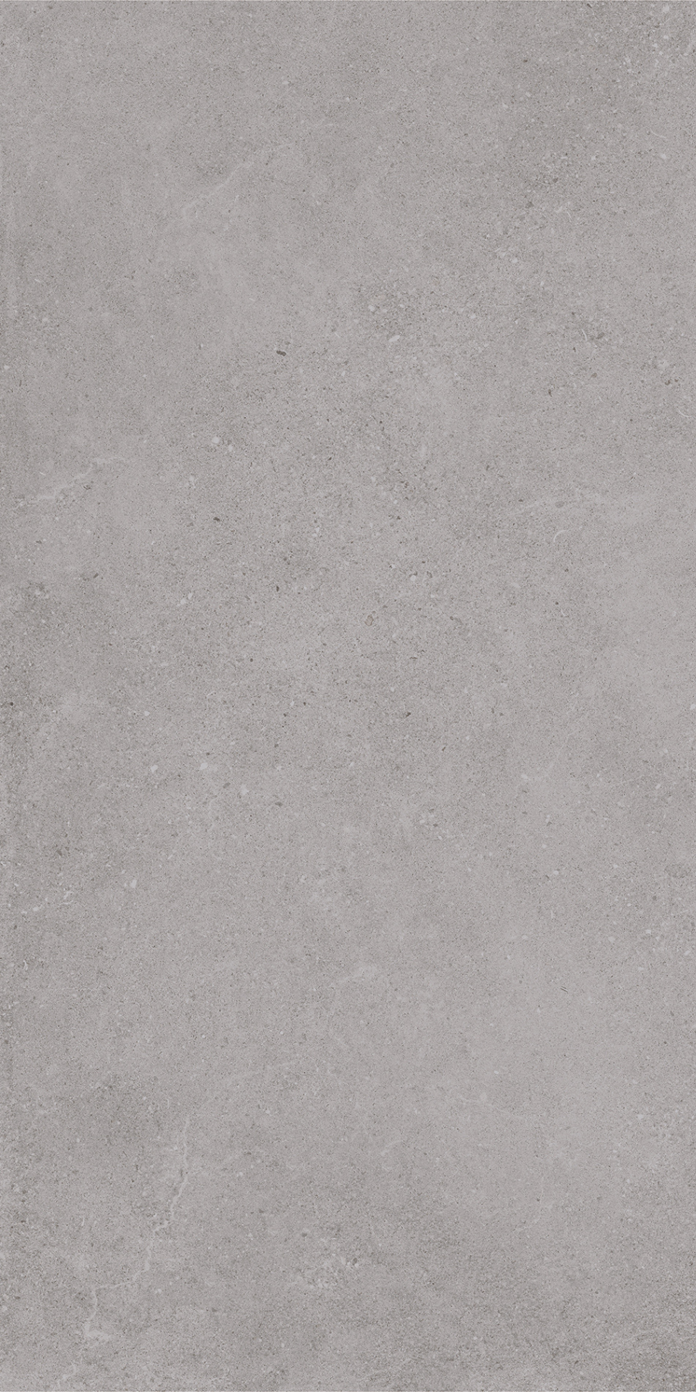 Padova Grey | Tegel 60x120 cm | Mat Grijs Betonlook