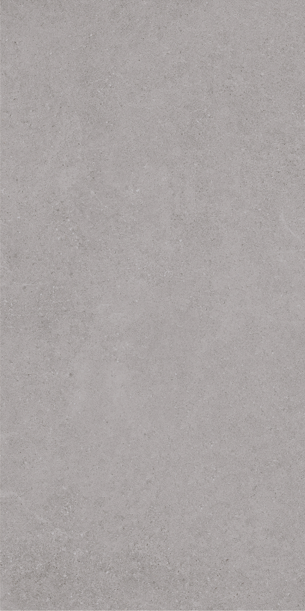 Padova Grey | Tegel 60x120 cm | Mat Grijs Betonlook