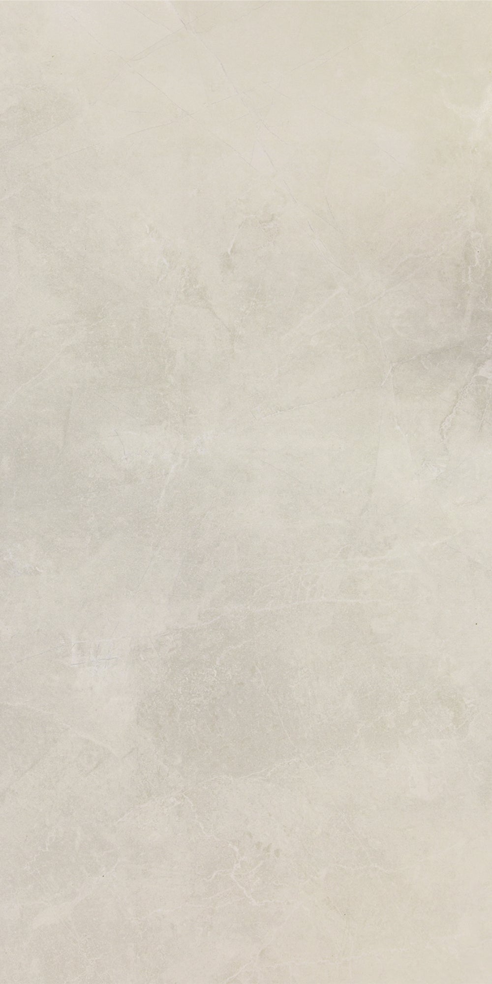 Pulpis Prime Light Grey 60x120 cm Mat Wit