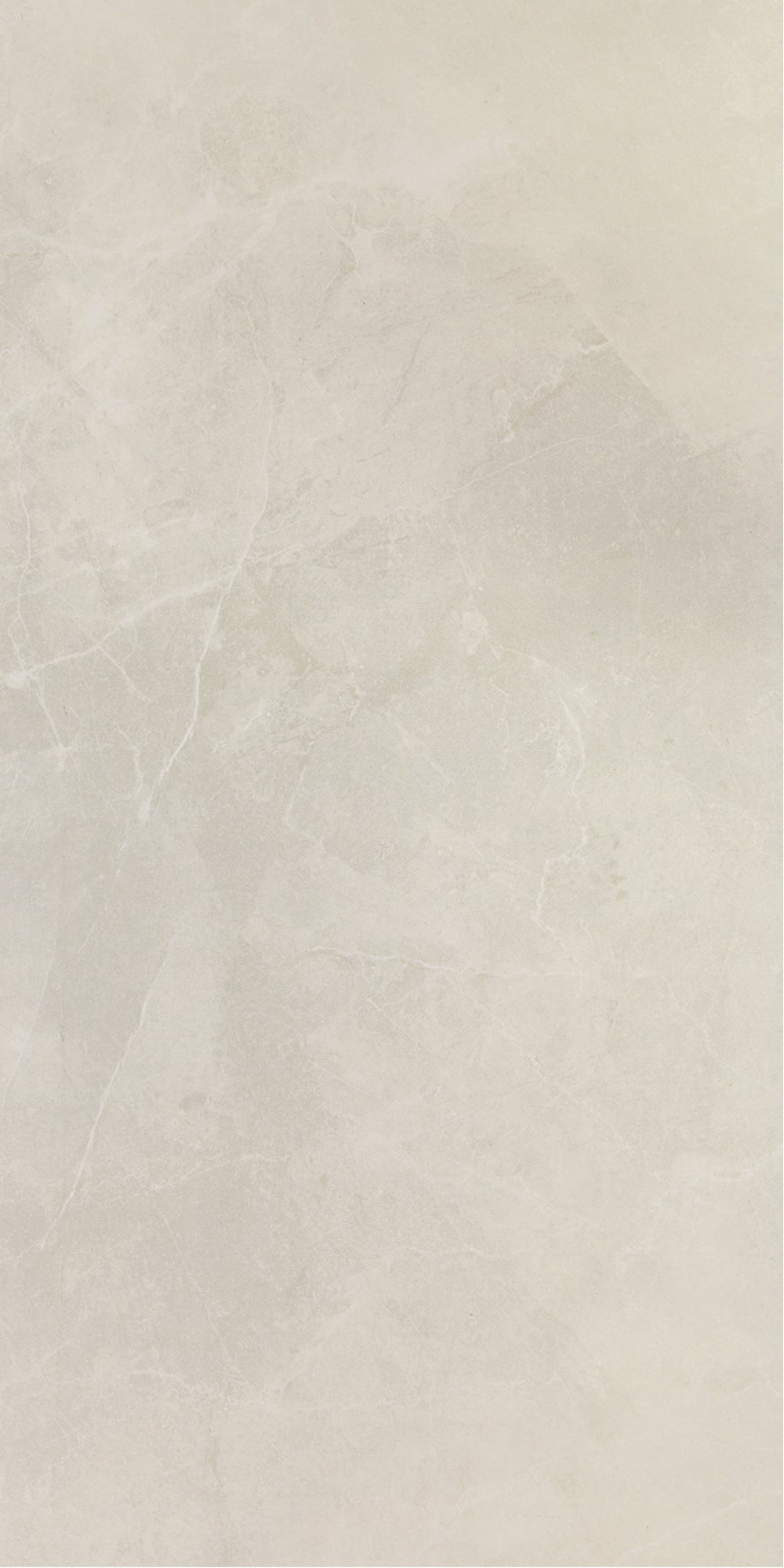 Pulpis Prime Light Grey 60x120 cm Mat Wit