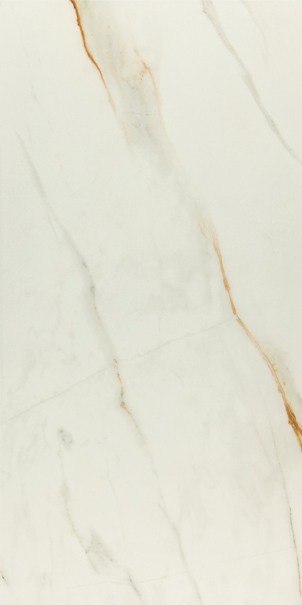 Royal Calacatta | Tegel 60x120cm | Hoogglans Luxe Marmerlook