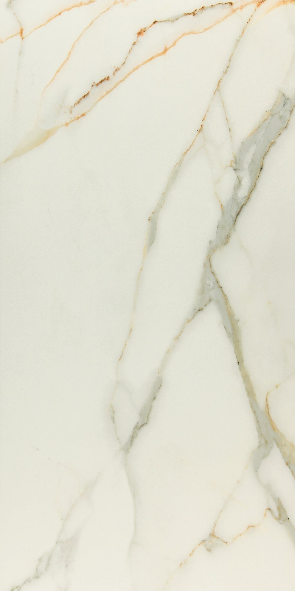 Royal Calacatta | Tegel 60x120cm | Hoogglans Luxe Marmerlook