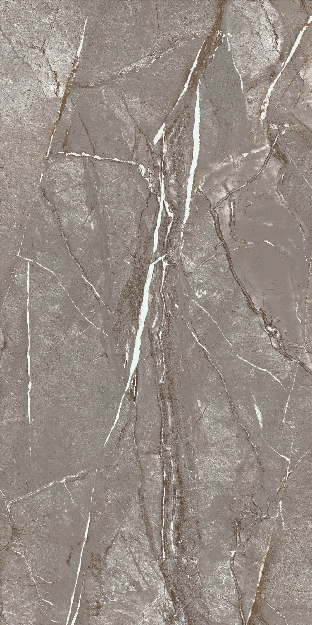 Sierra Grey | Tegel 60x120 cm | Mat Grijs Steenlook