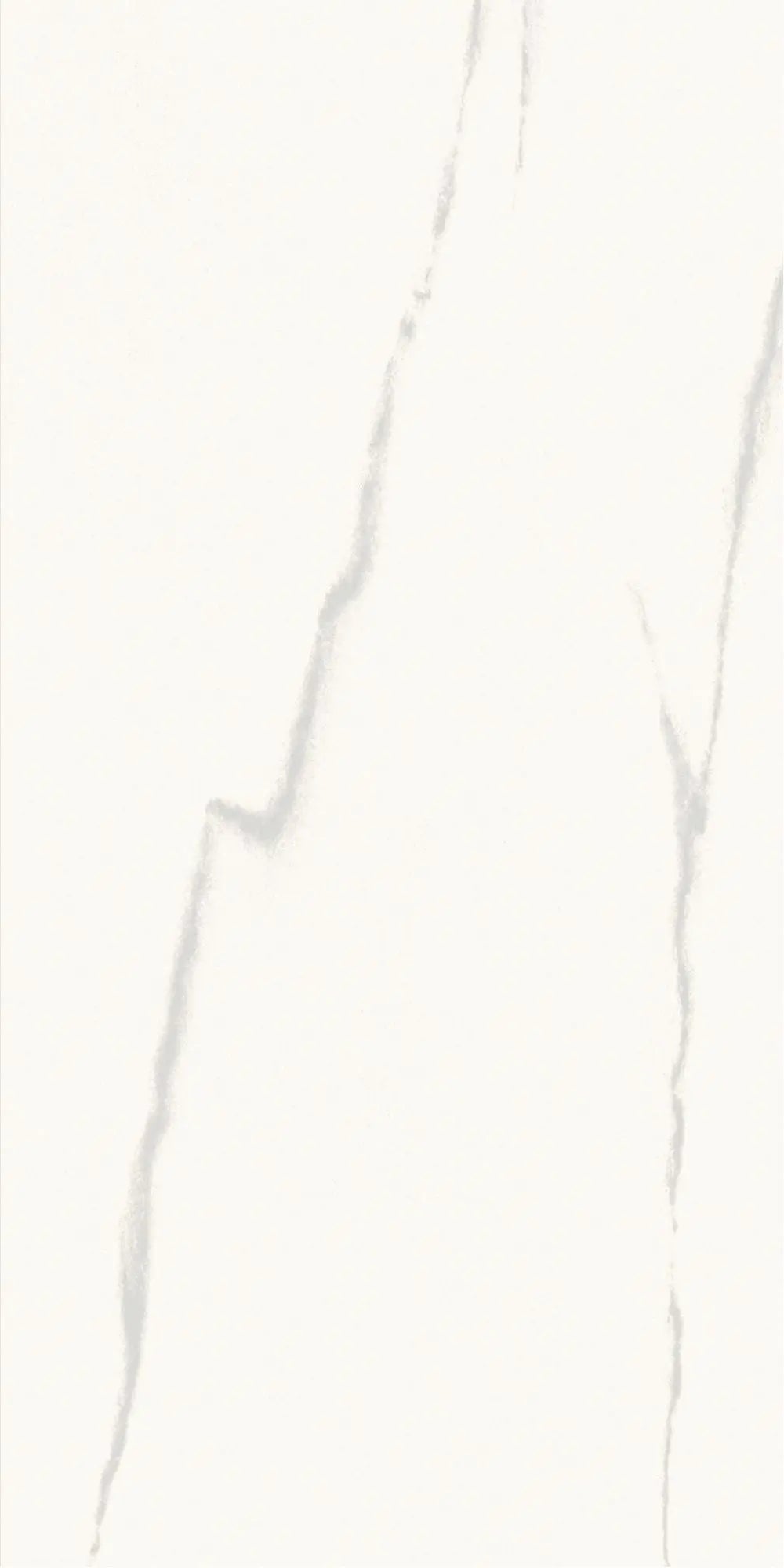 Statuario | Tegel 60x120 cm | Hoogglans Wit Marmerlook