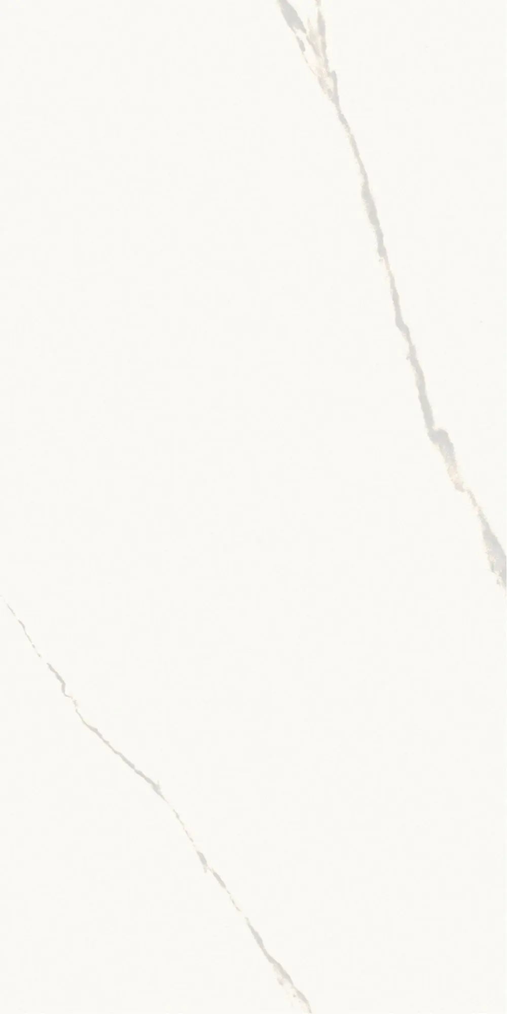 Statuario | Tegel 60x120 cm | Hoogglans Wit Marmerlook