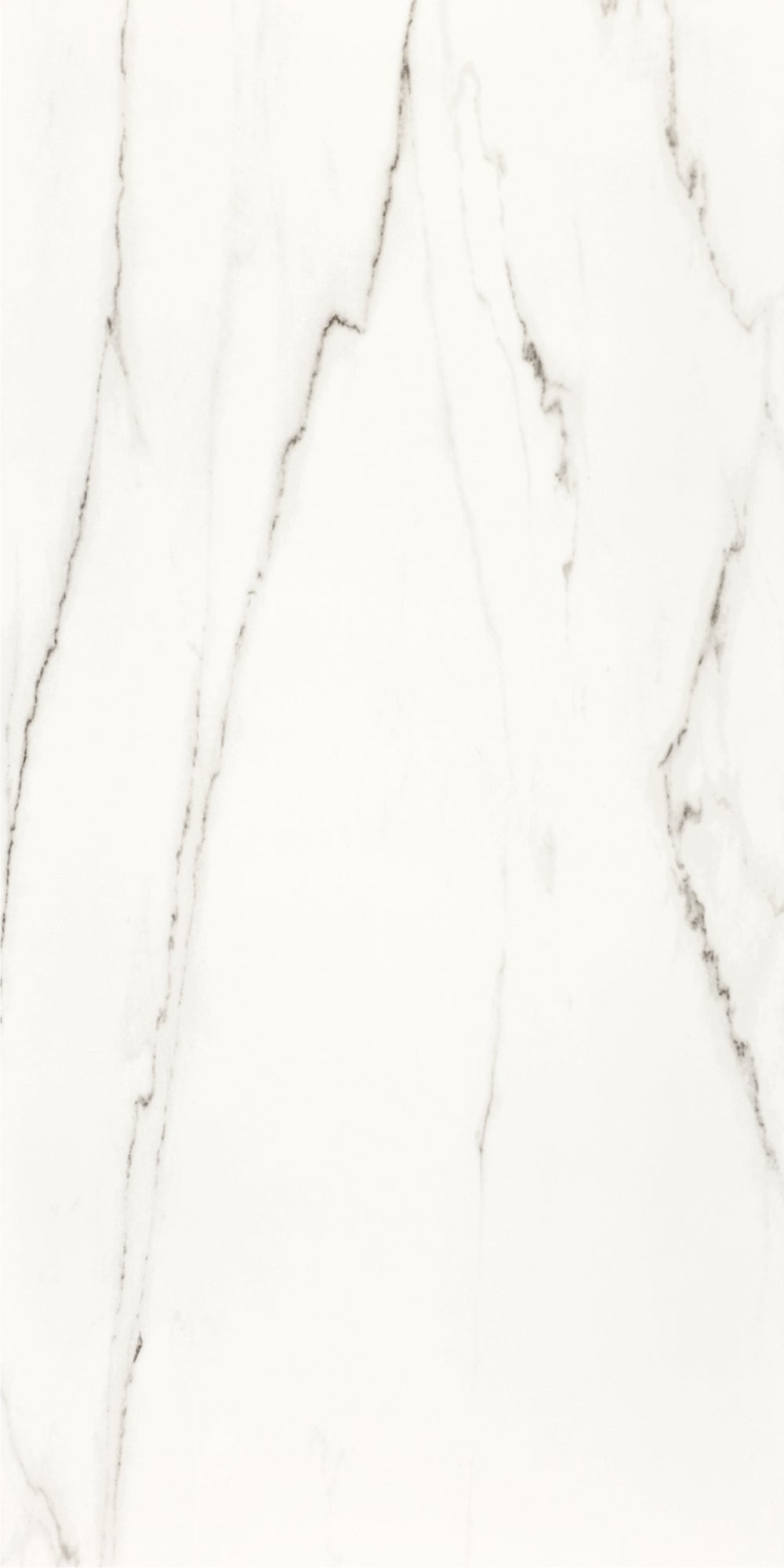 Statuario | Tegel 120x240 cm | Hoogglans Wit Marmerlook XXL Tegel