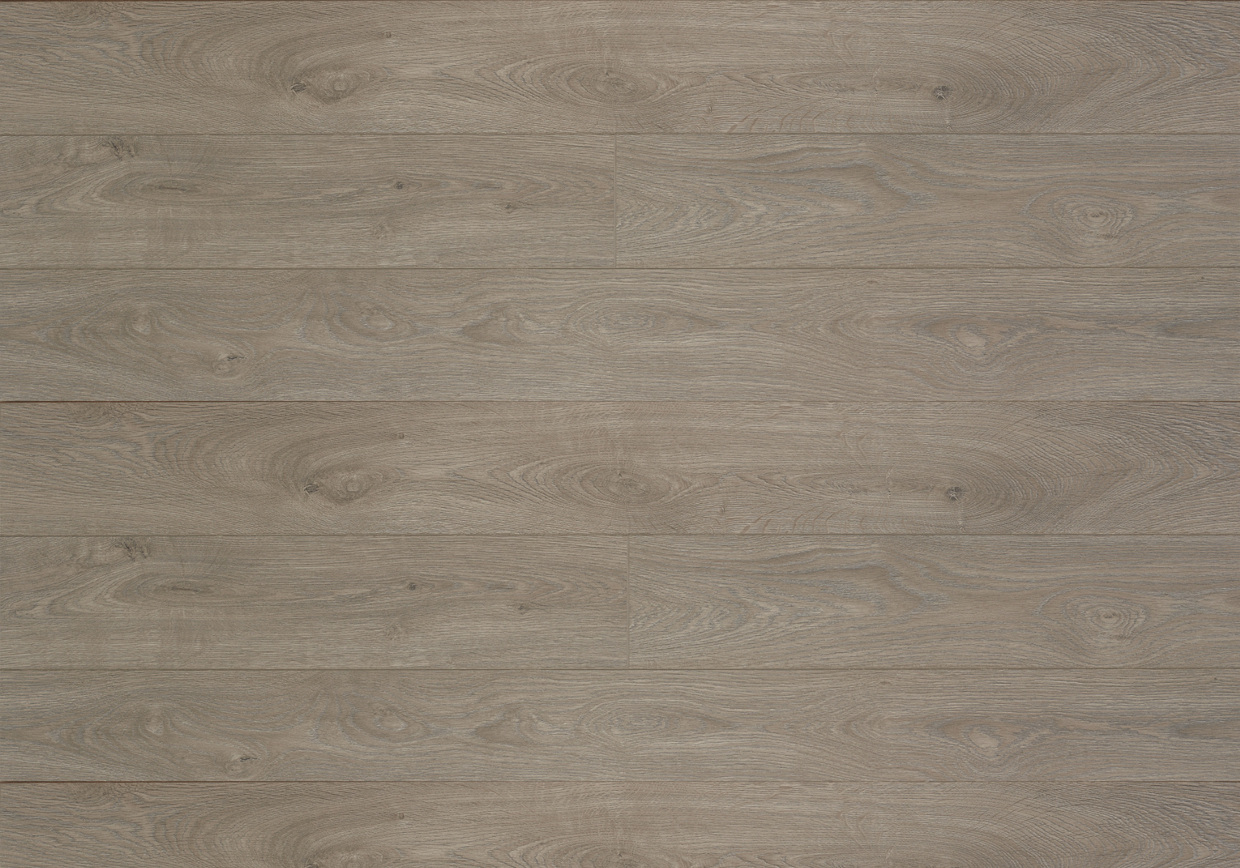 Tuna Oak | Laminaat 10 mm | Çamsan Avangard