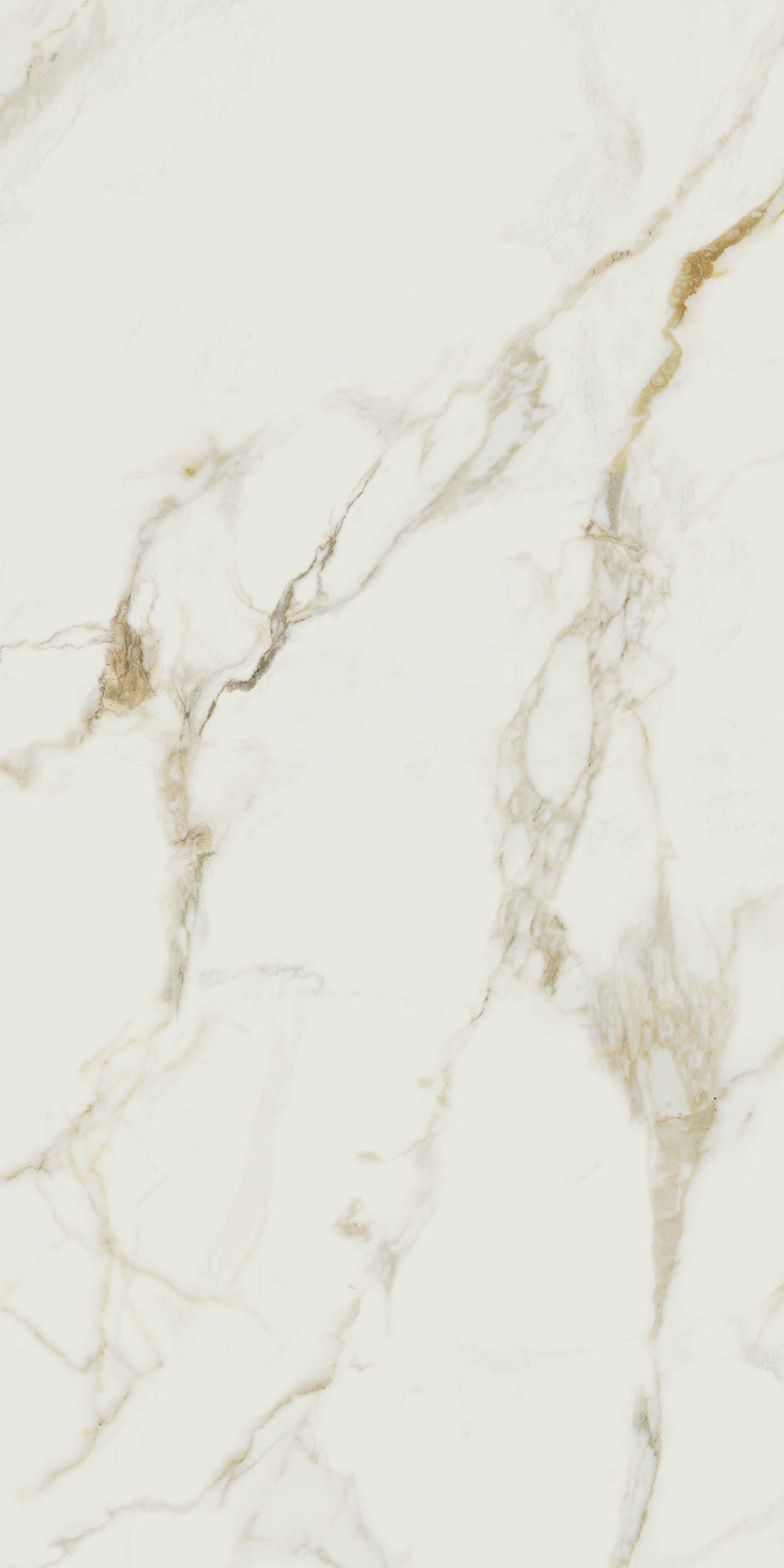 Valeria | Tegel 120x240cm | Hoogglans Goud Marmerlook XXL Tegel