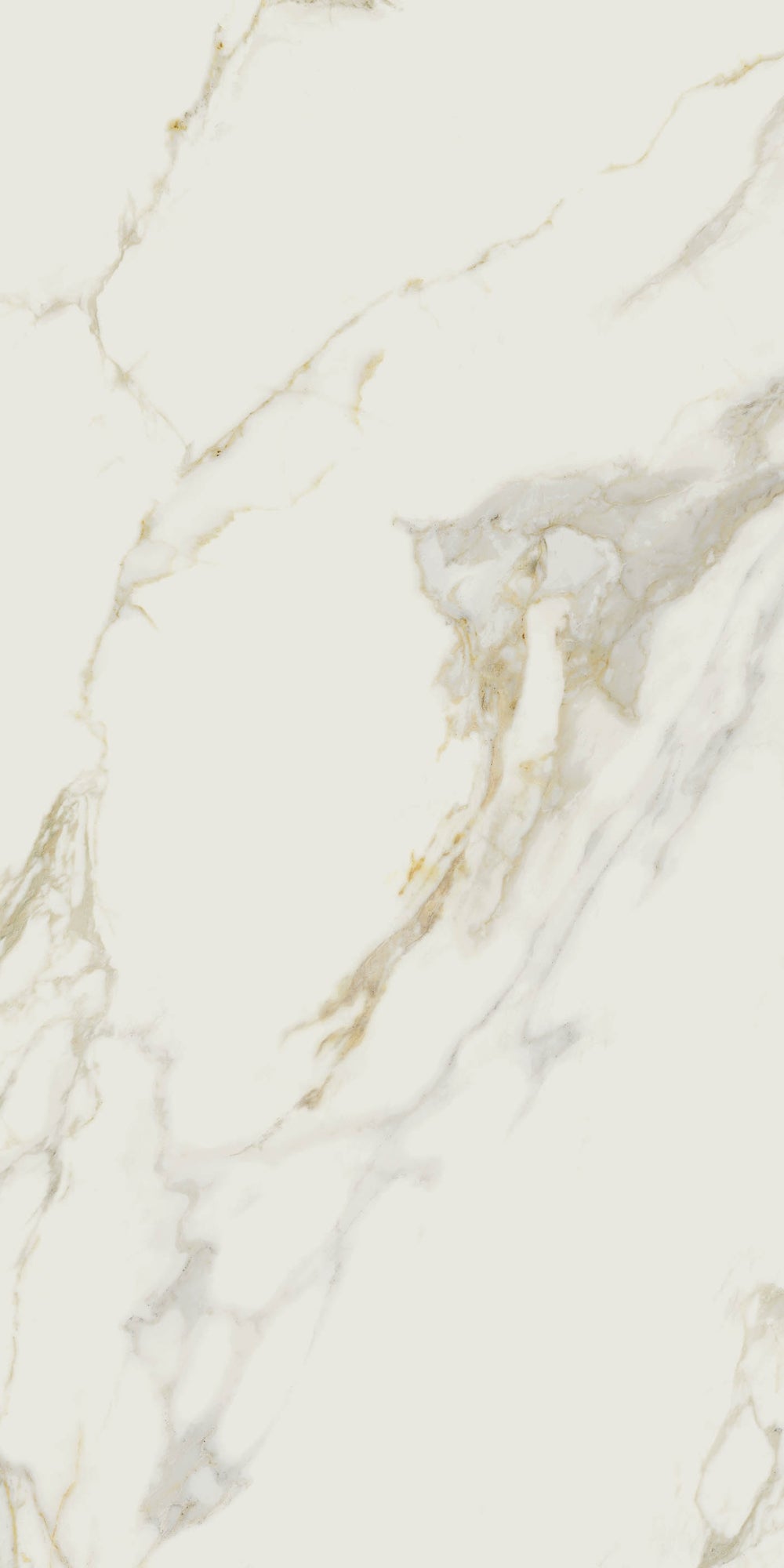 Valeria | Tegel 120x240cm | Hoogglans Goud Marmerlook XXL Tegel