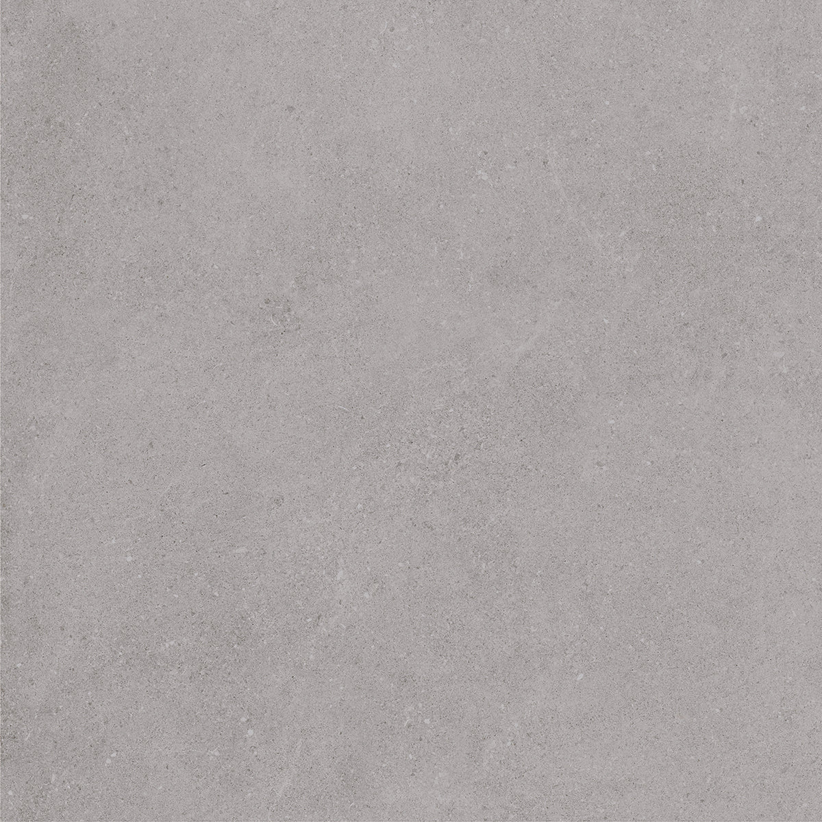 Padova Grey | 120x120 cm | Mat Grijs Betonlook Tegel