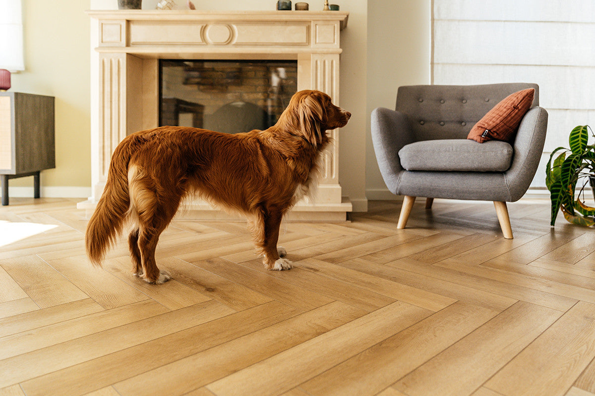 Yukon Mistral | PVC Klik Visgraatvloer 4+1 mm met Ondervloer | Luxe Houtlook