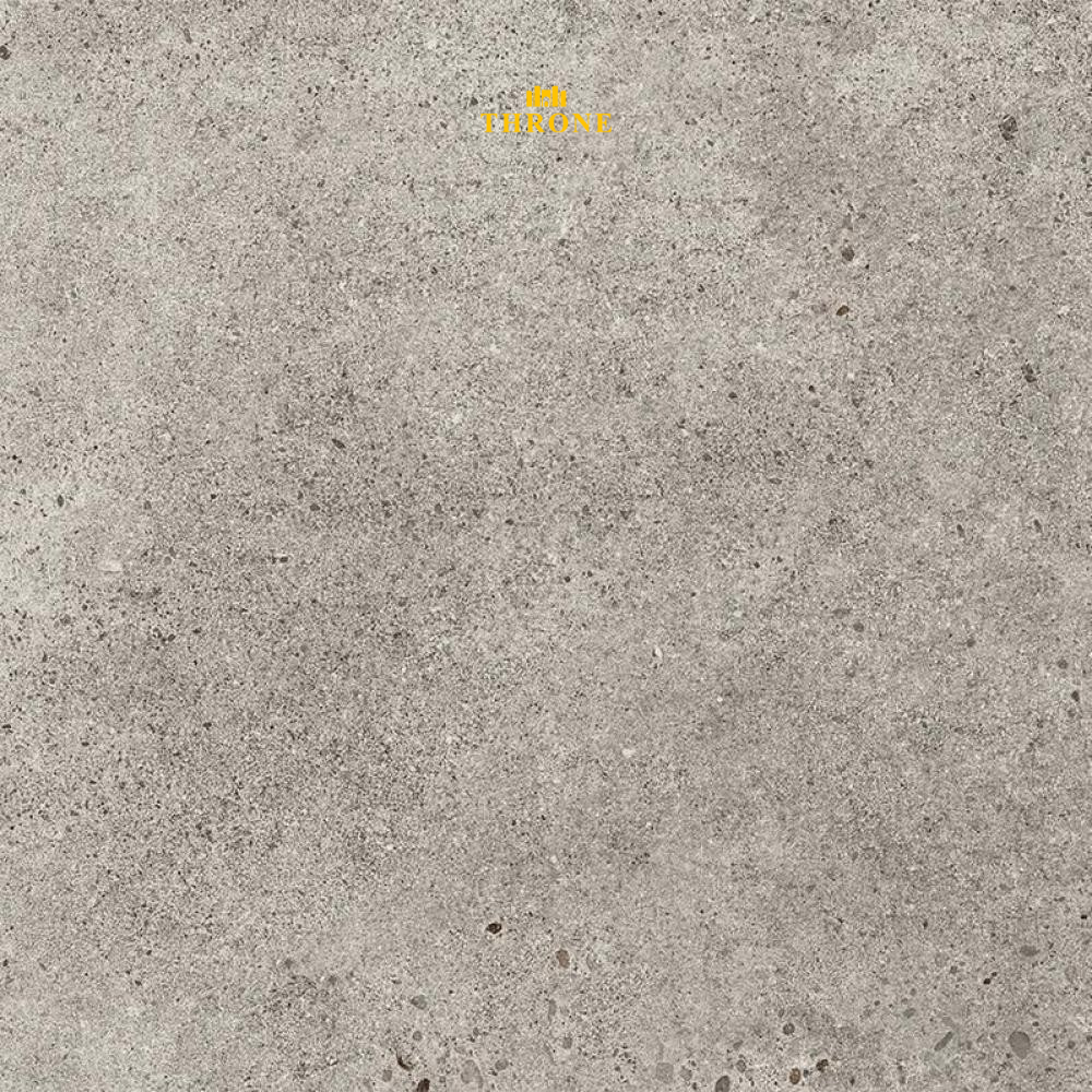 NG Kutahya - Silver Stone - 60x60x2cm - Betonlook Mat - Keramische Tuin-/Terrastegel - R11