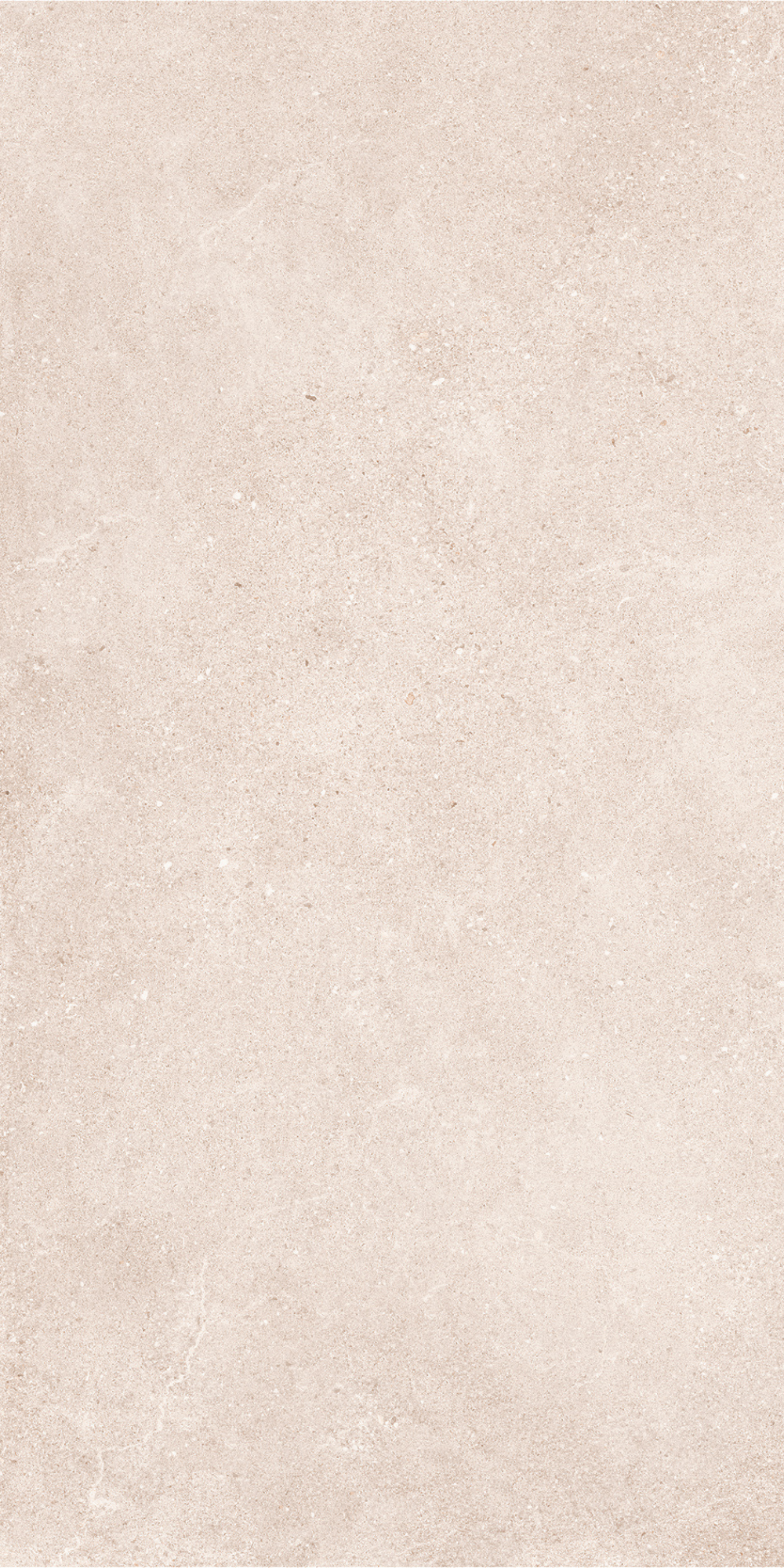 Padova Bone | Tegel 60x120 cm | Mat Beige Betonlook