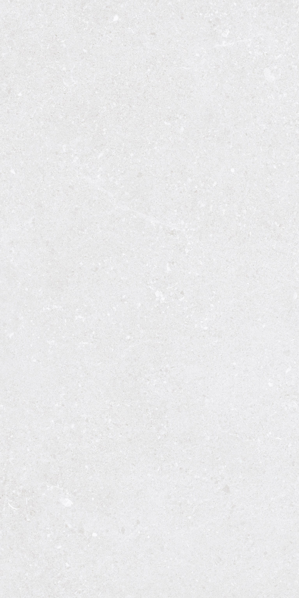 Padova White | Tegel 60x120 cm | Mat Wit Betonlook