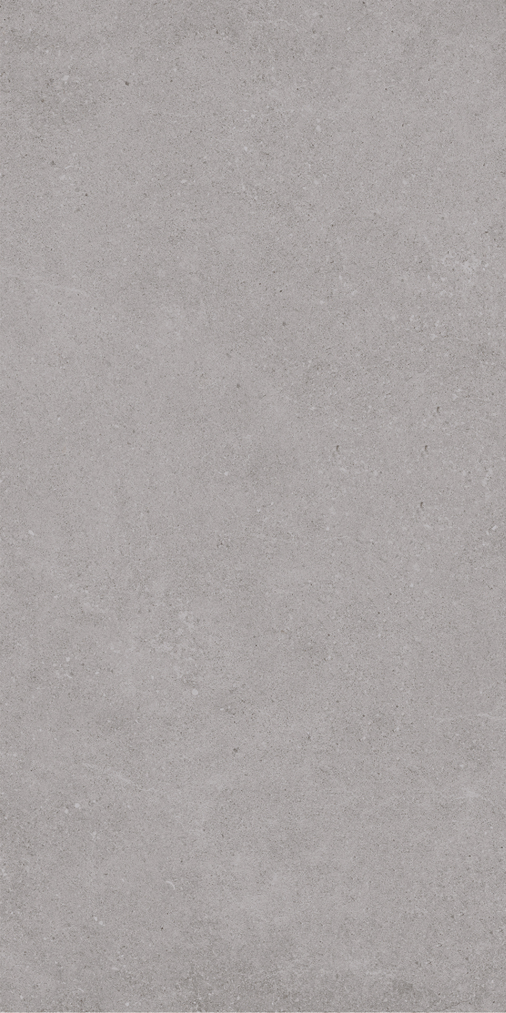 Padova Grey | Tegel 60x120 cm | Mat Grijs Betonlook