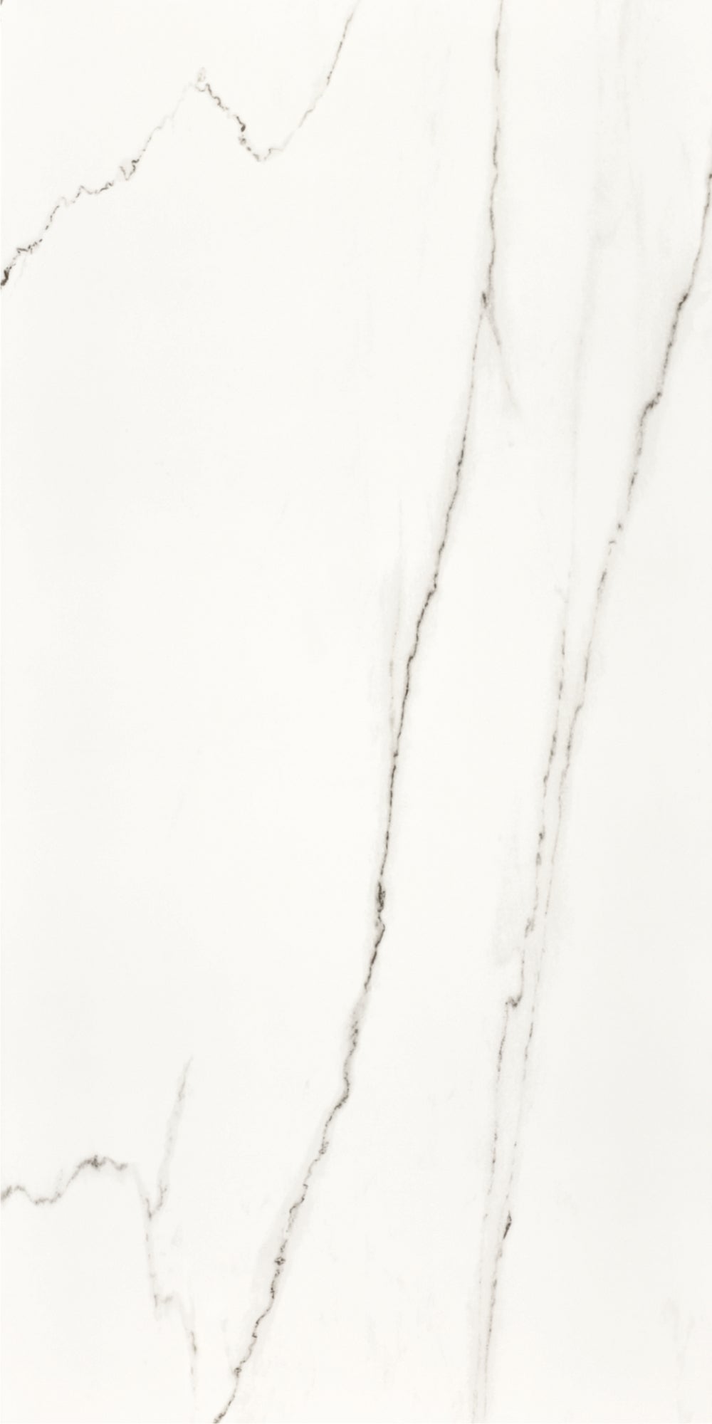 Statuario | Tegel 120x240 cm | Hoogglans Wit Marmerlook XXL Tegel