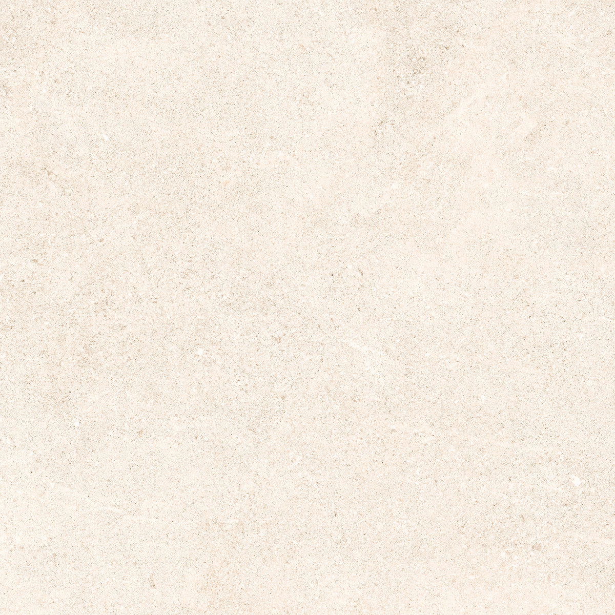 Padova Bone | 120x120 cm | Mat Beige Betonlook Tegel